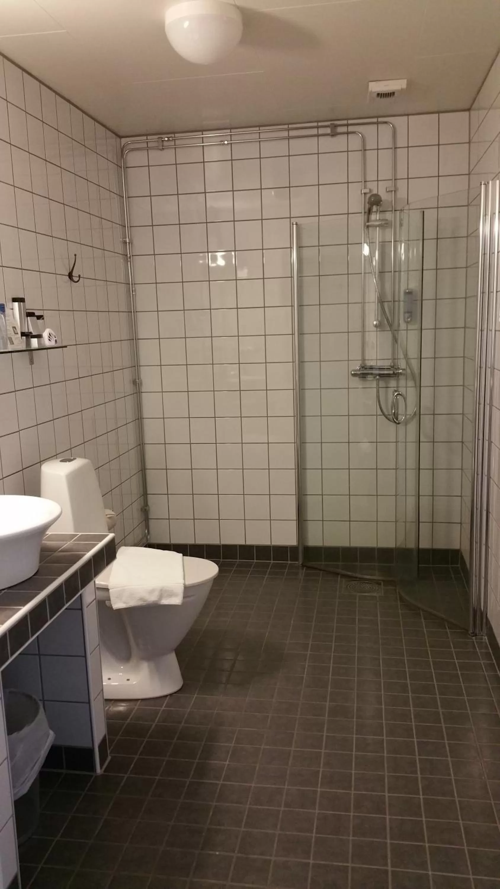 Shower in Hotell Läckö