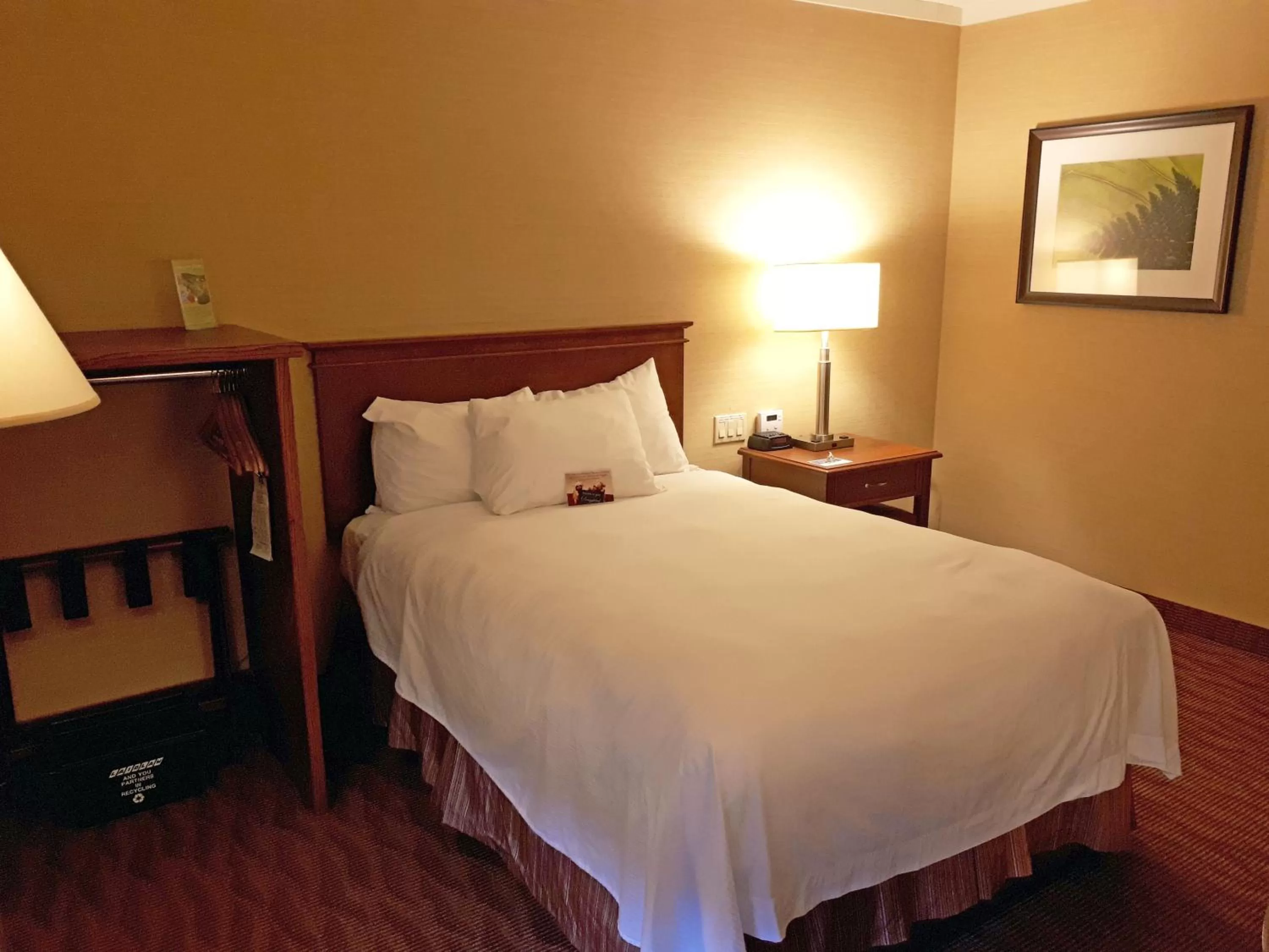 Double Room with Roll in Shower - Non-Smoking in The Water Tower Inn - BW Premier Collection