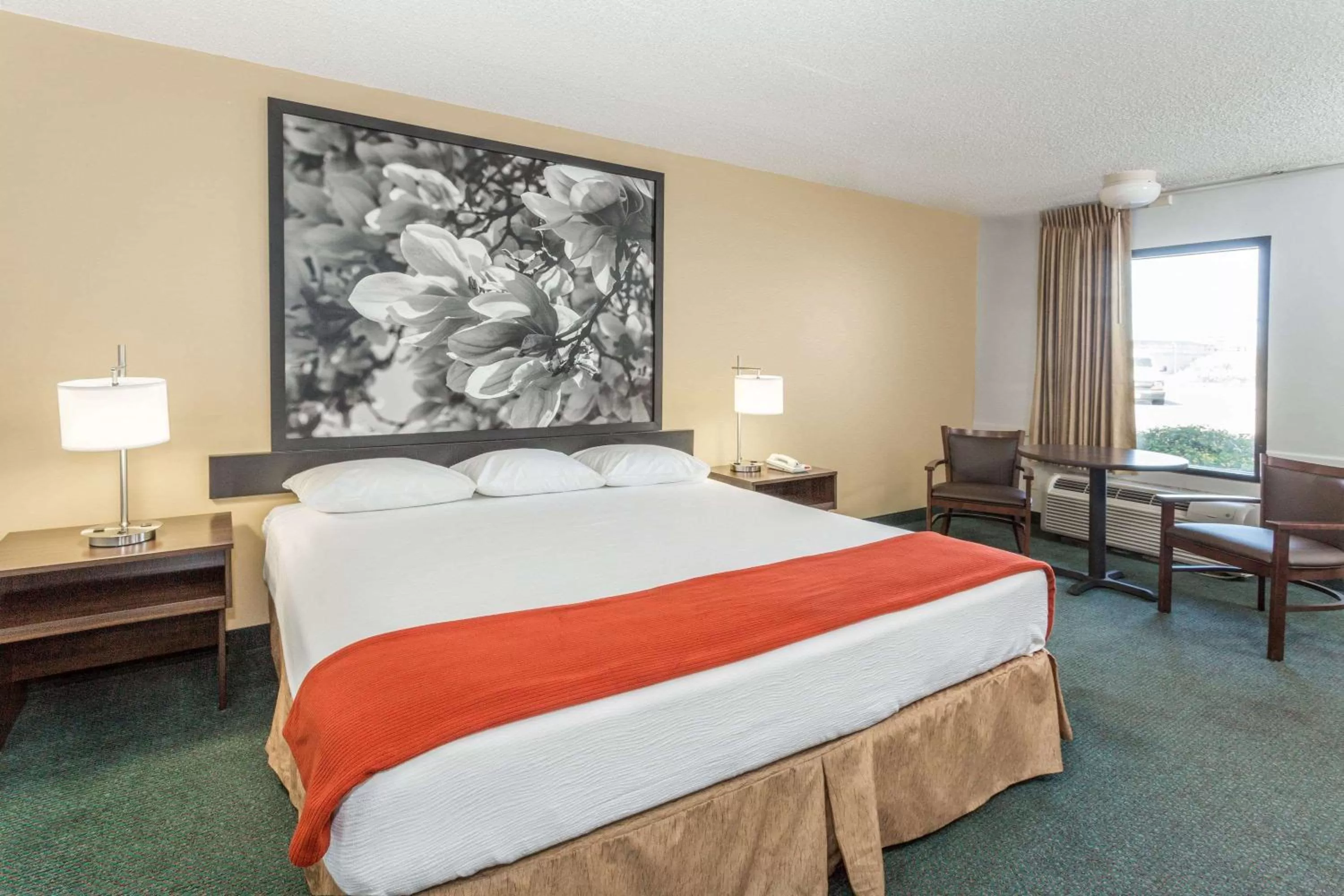 Photo of the whole room, Bed in Super 8 by Wyndham Adel GA I-75