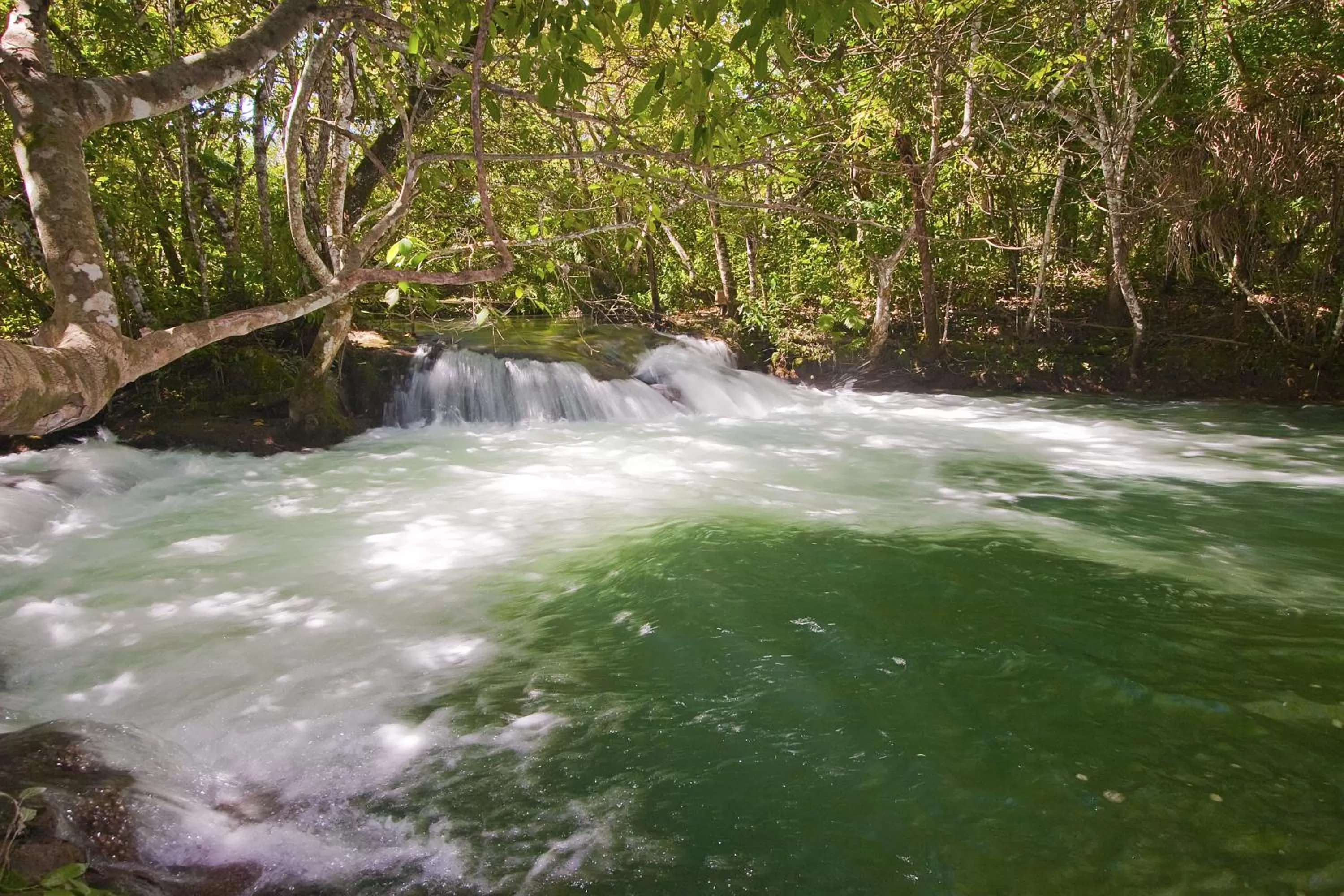 Natural landscape in Hotel Santa Esmeralda