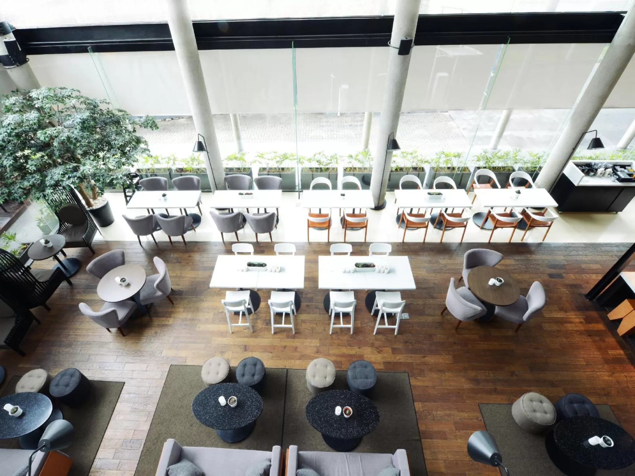 Day in Morrissey Hotel