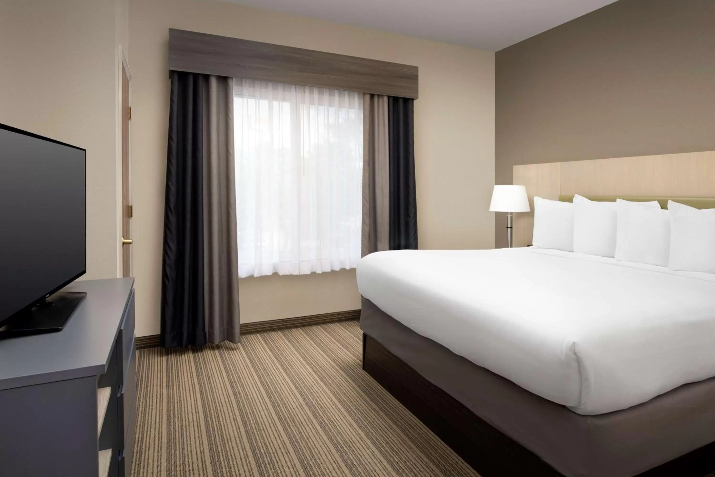 One-Bedroom King Suite - Non-Smoking in Country Inn & Suites by Radisson, Gainesville, FL