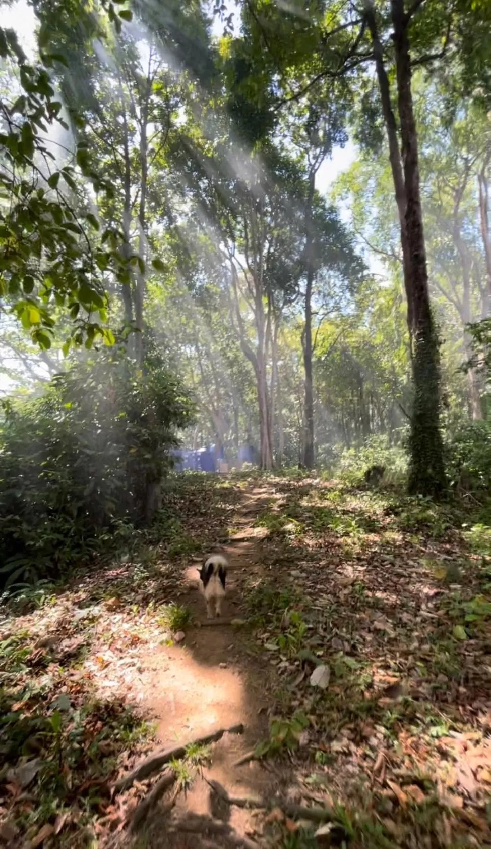 Property building in Cliff Cottage