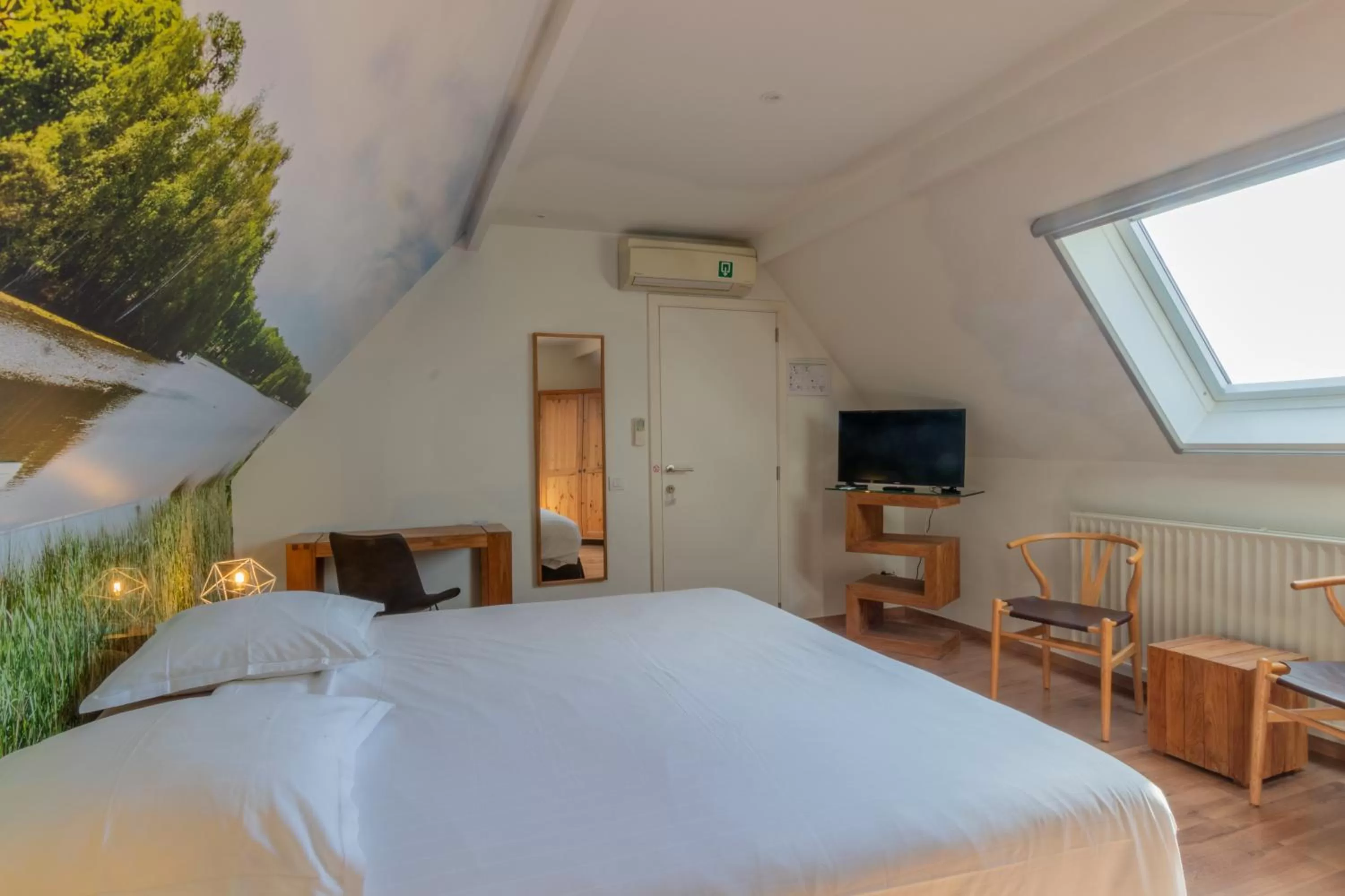 Photo of the whole room, Bed in Apollonia