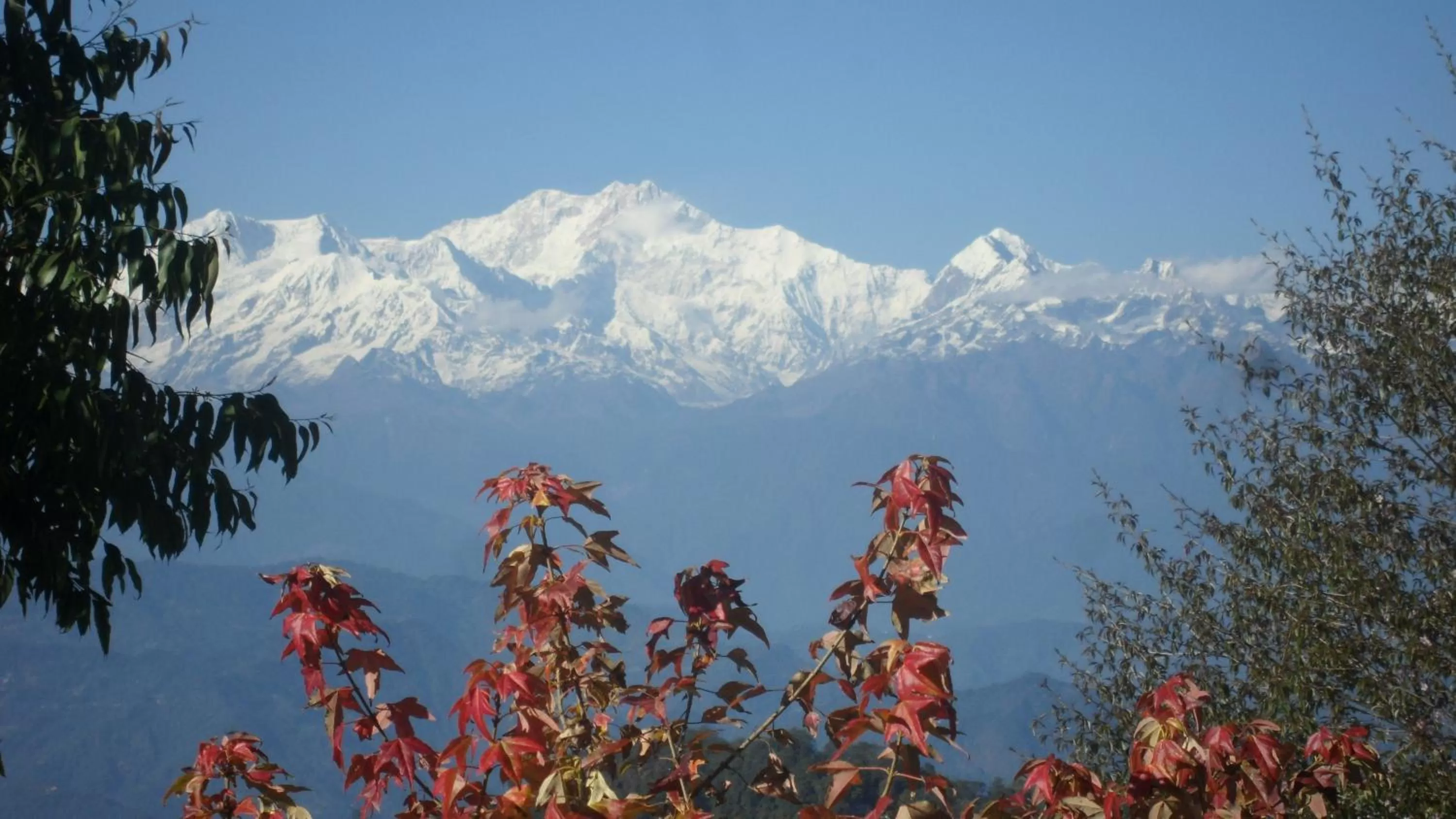 Mountain view in Cedar Inn
