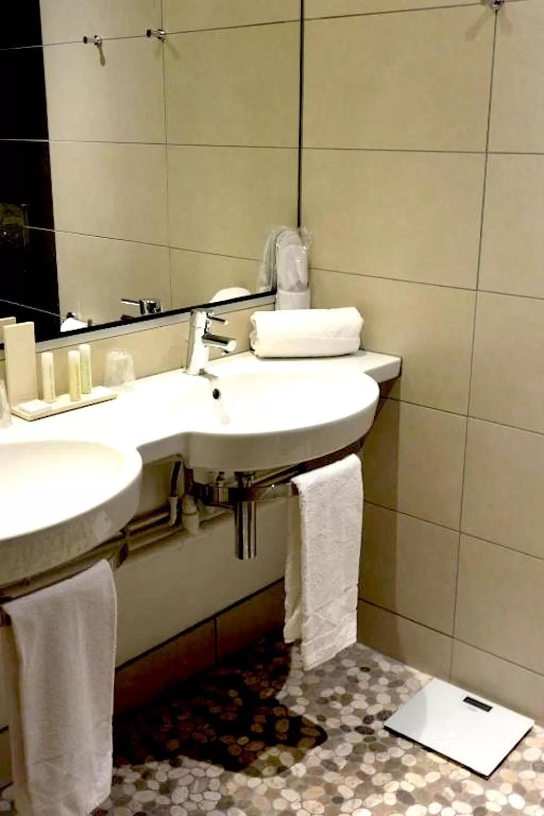 Bathroom in Kyriad Prestige Mulhouse - Basel