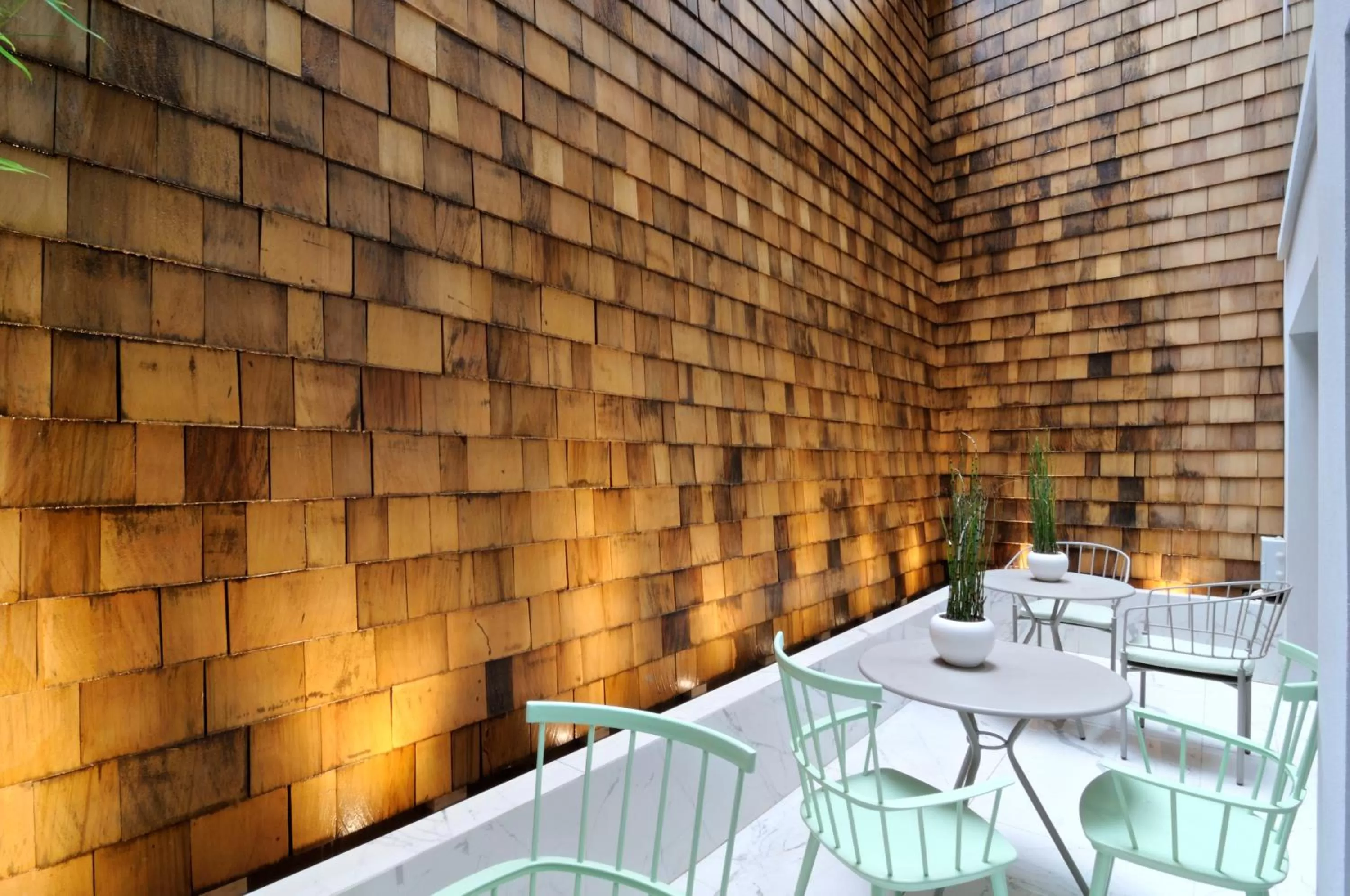 Garden in Coco-Mat Hotel Athens