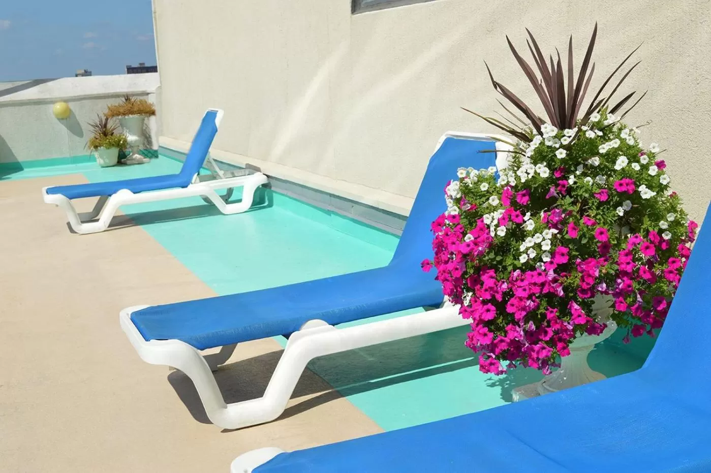 sunbed in Boardwalk Resorts - Flagship