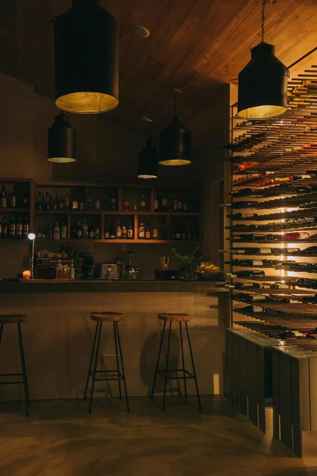 Lounge or bar in Santa Barbara Eco-Beach Resort