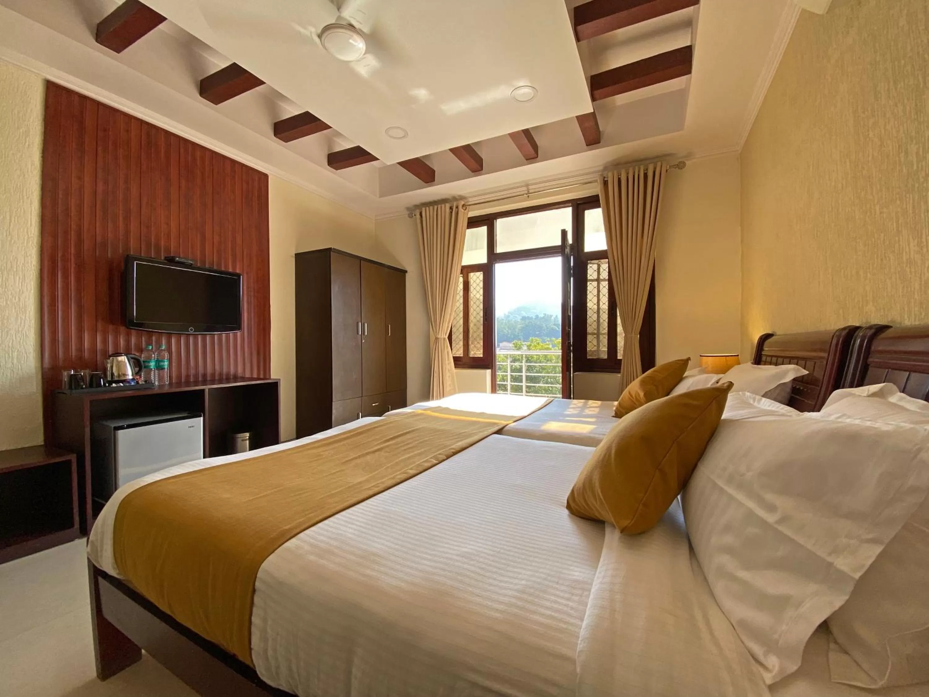 TV and multimedia in Hotel Nirvana Palace Rishikesh