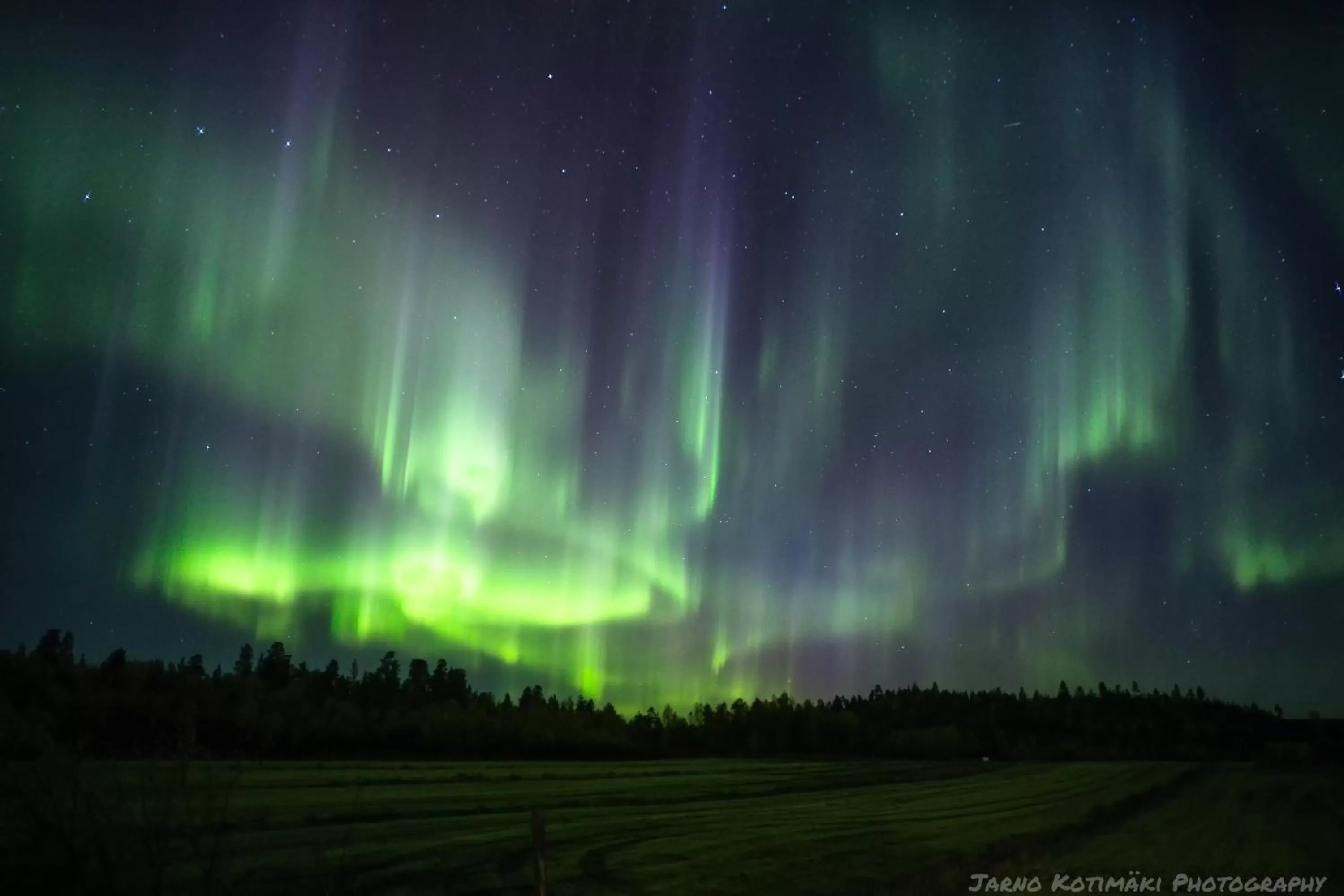 Activities in Kultahippu Hotel & Apartments