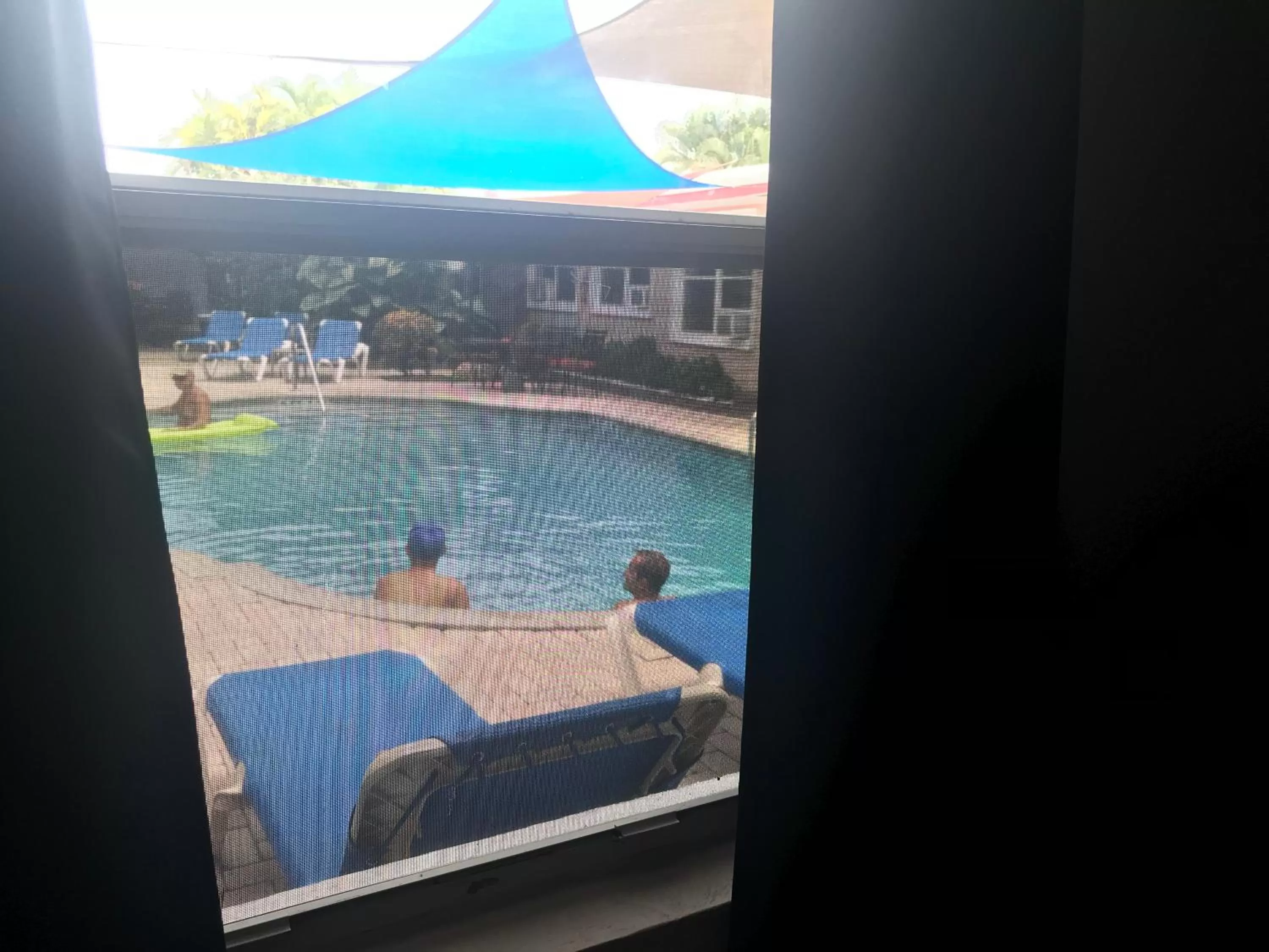 Pool view in INN LEATHER GUEST HOUSE-GAY MALE ONLY