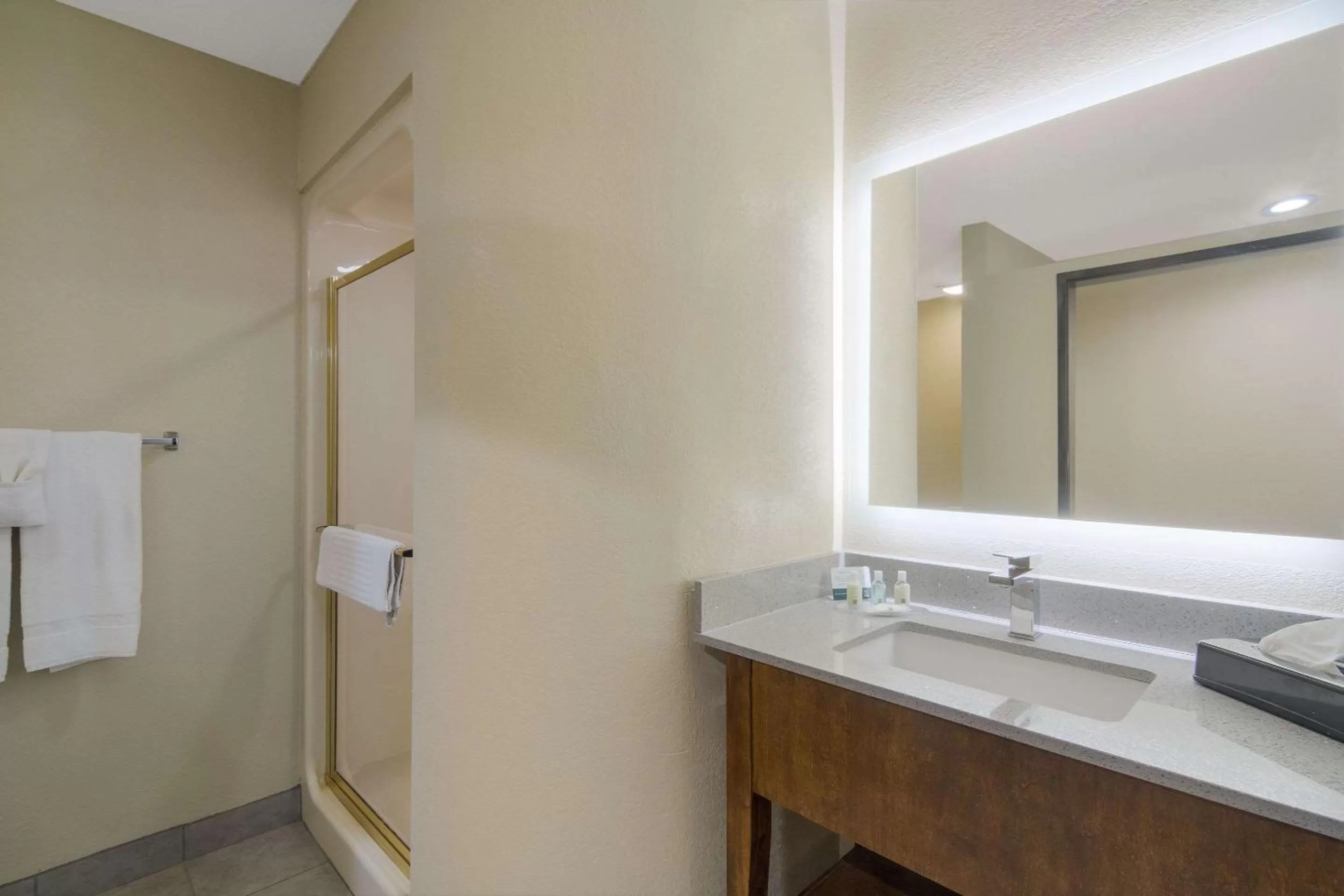 Bedroom in Quality Inn & Suites Roanoke - Fort Worth North