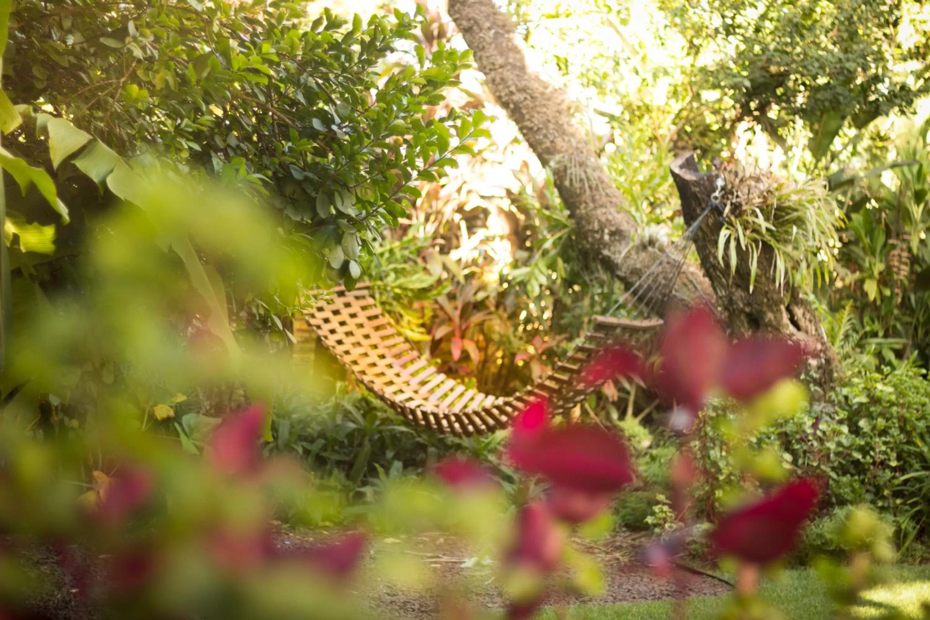 Garden view, Other Animals in Las Orquideas Parque Hotel