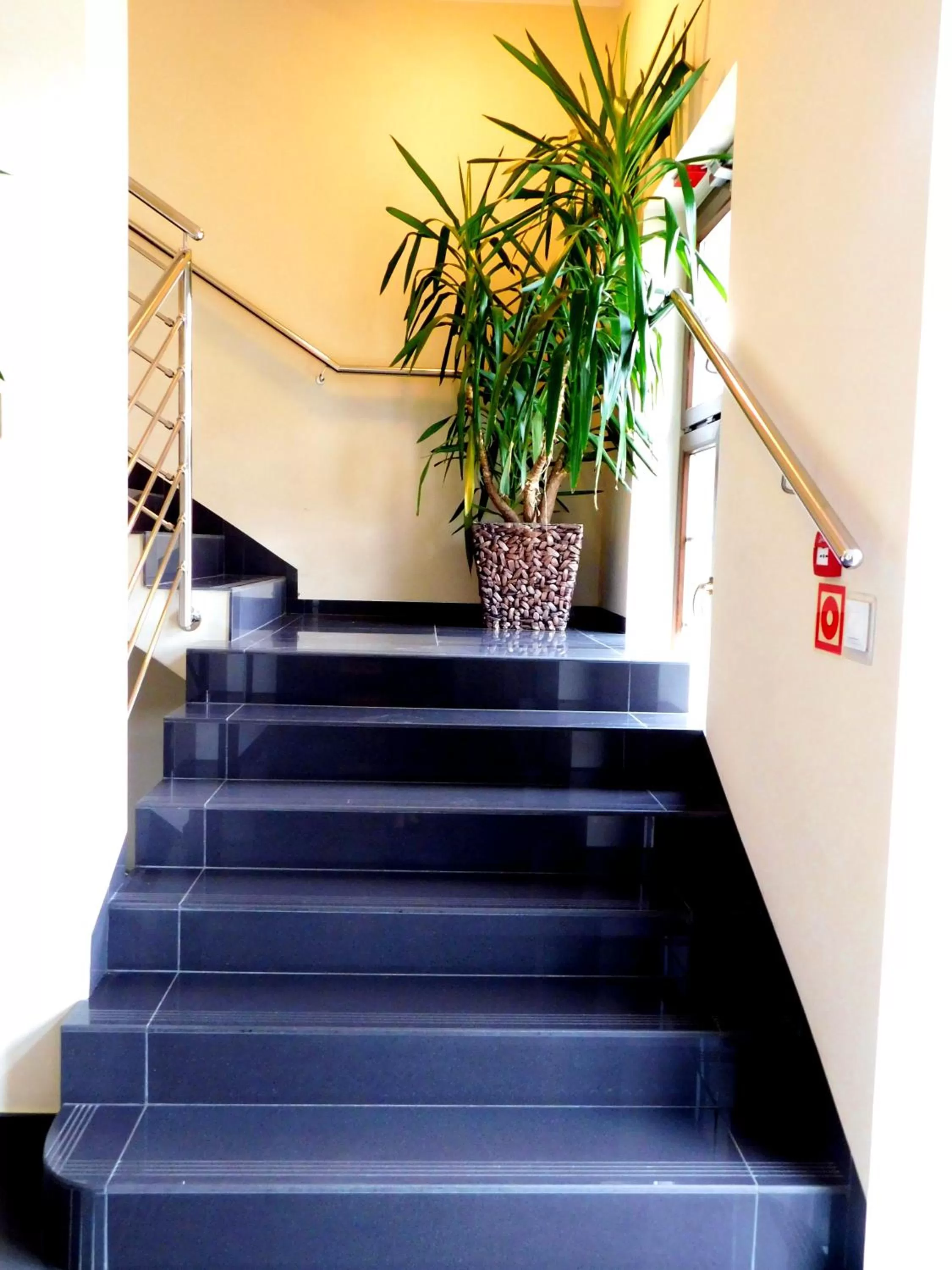 Area and facilities in Hotel Świętoborzec