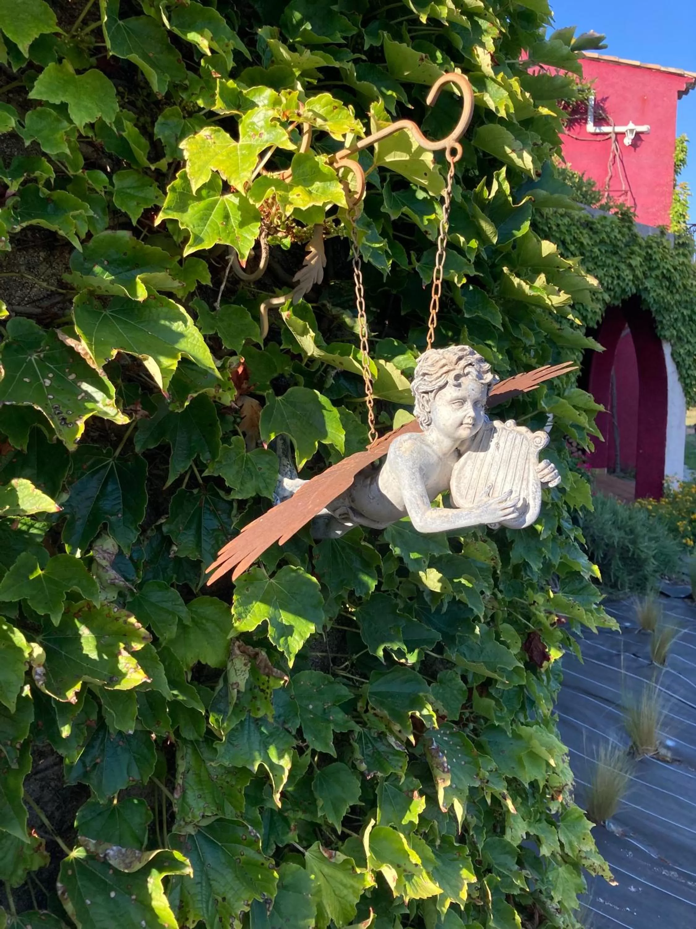 Other Animals in VILLA MERCEDES B&b