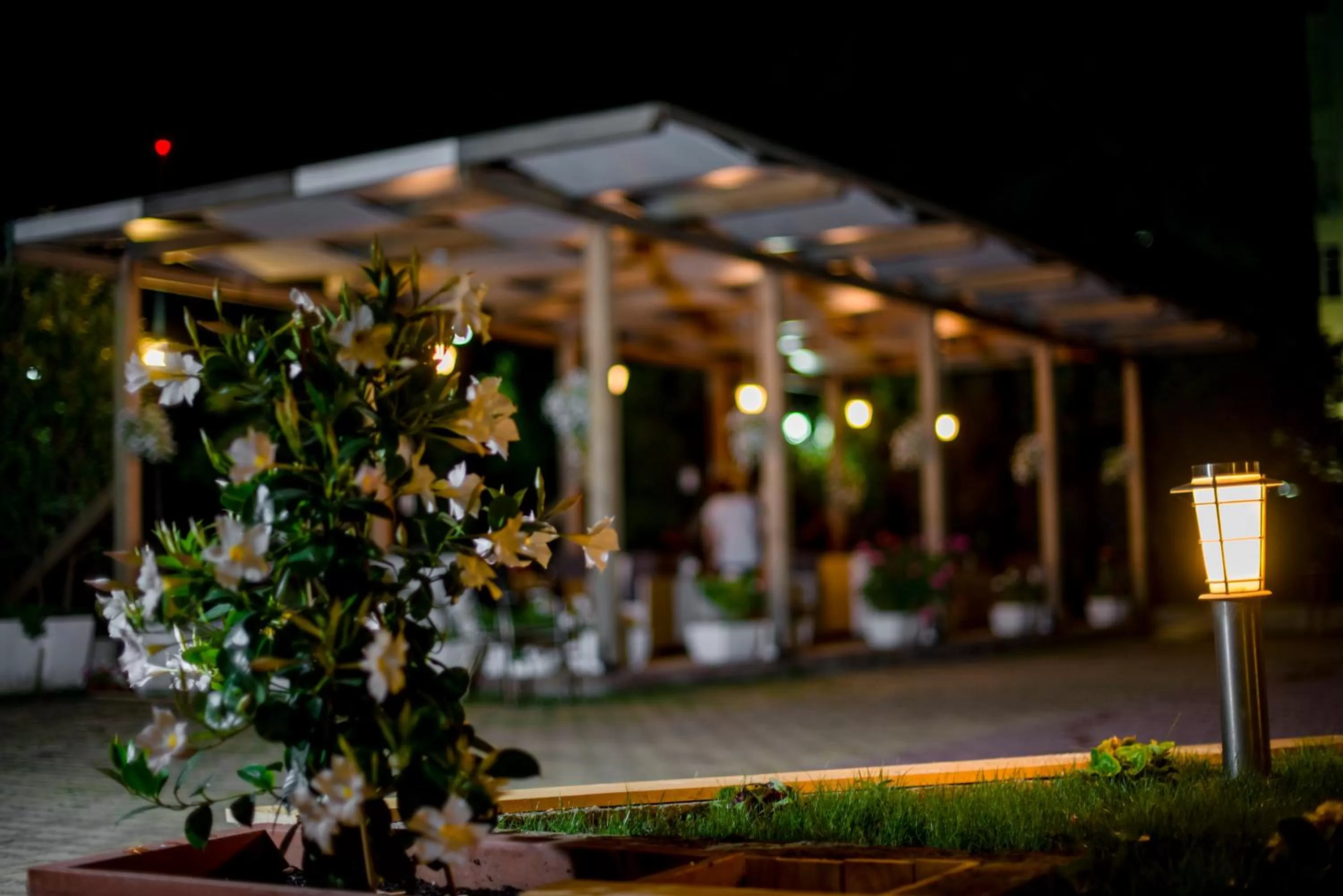 Other, Garden in Kadrisa Hotel