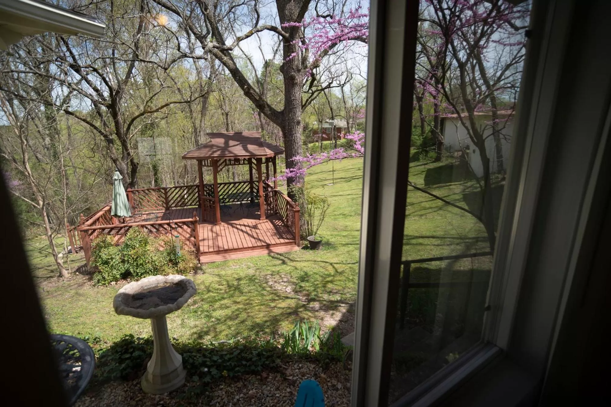 Natural landscape in Sherwood Court Cottages & Guest Rooms