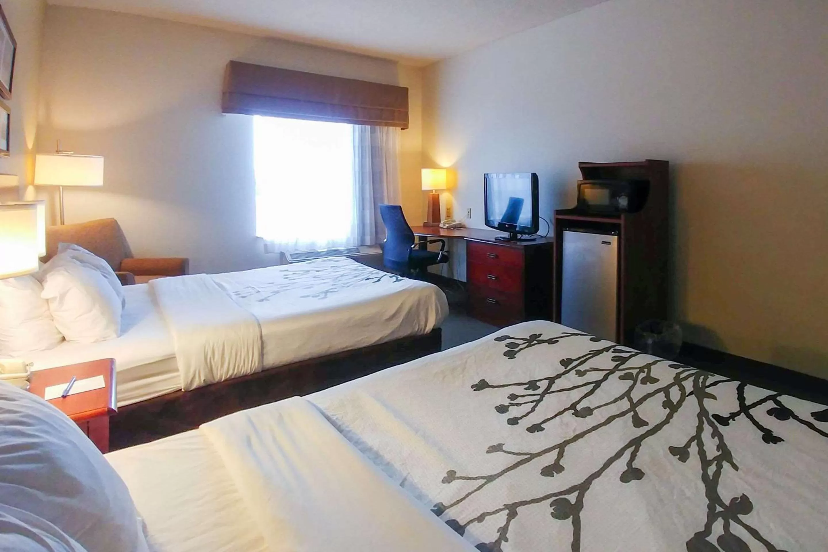 Queen Room with Tow Queen Beds, Mobility Access and Bathtub with Grab Bars, Non-Smoking in Wingate by Wyndham Dublin Near Claytor Lake State Park