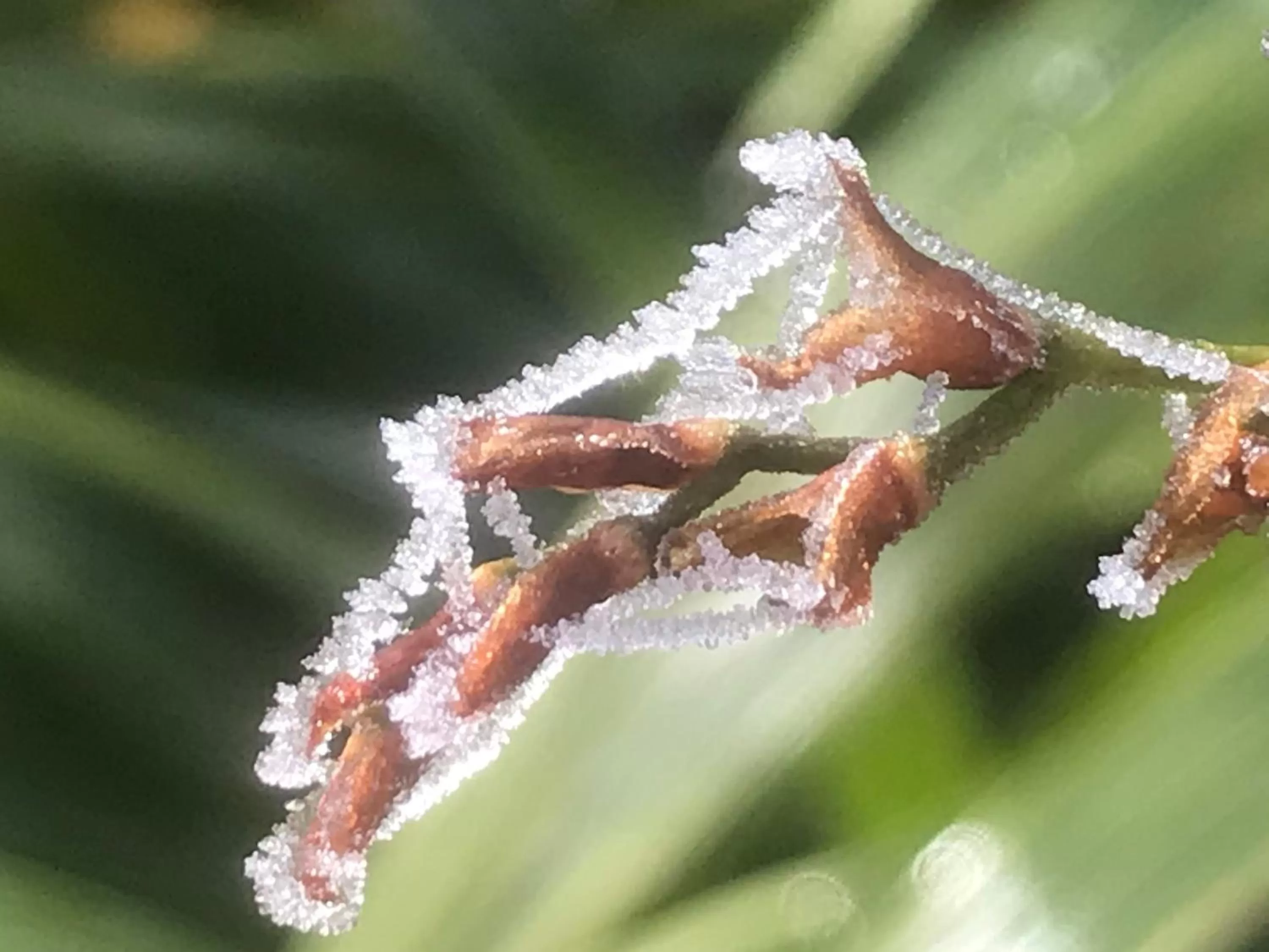 Winter, Other Animals in Bed and Breakfast Bavaria München