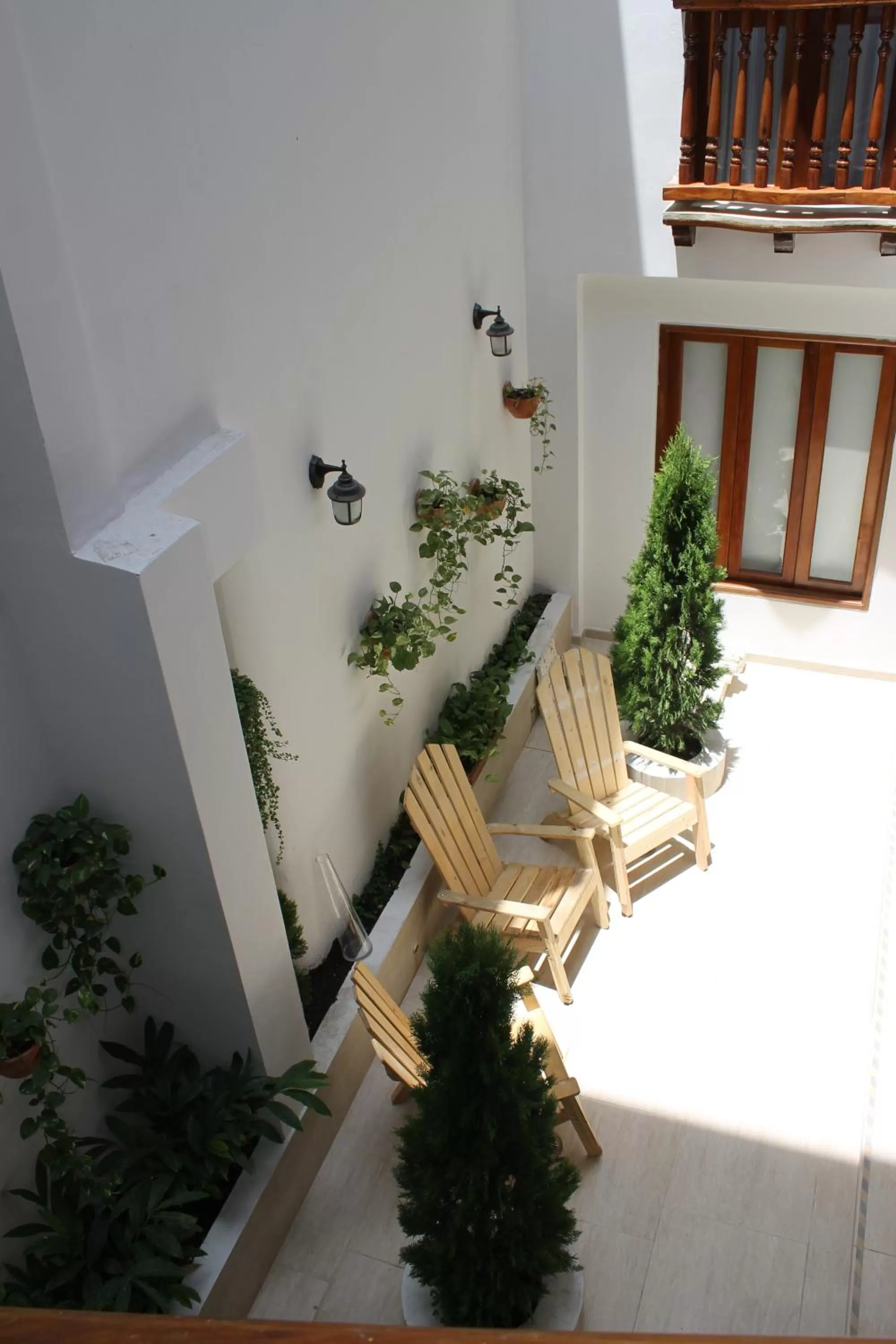 Garden in Akel House Hotel