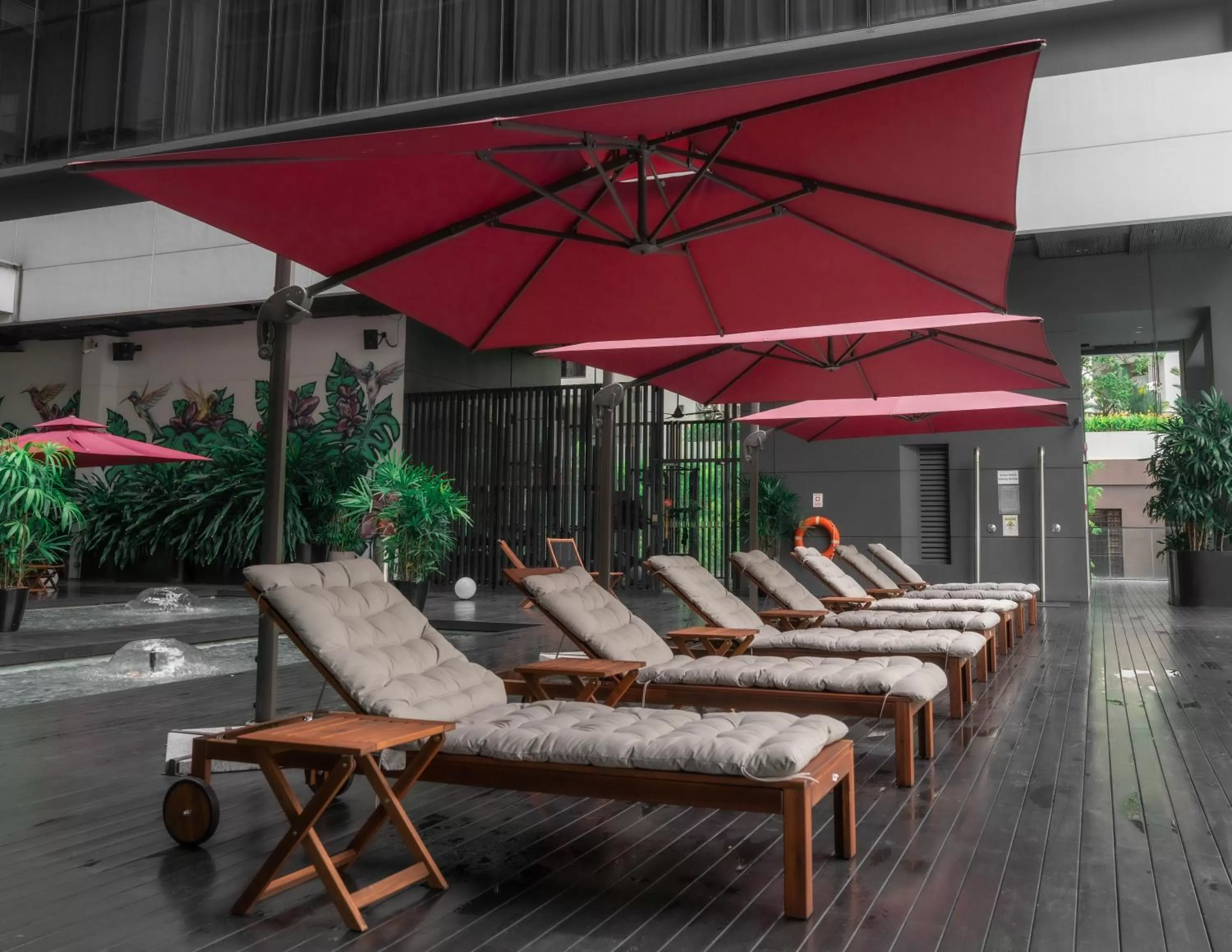 Garden in Studio M Hotel