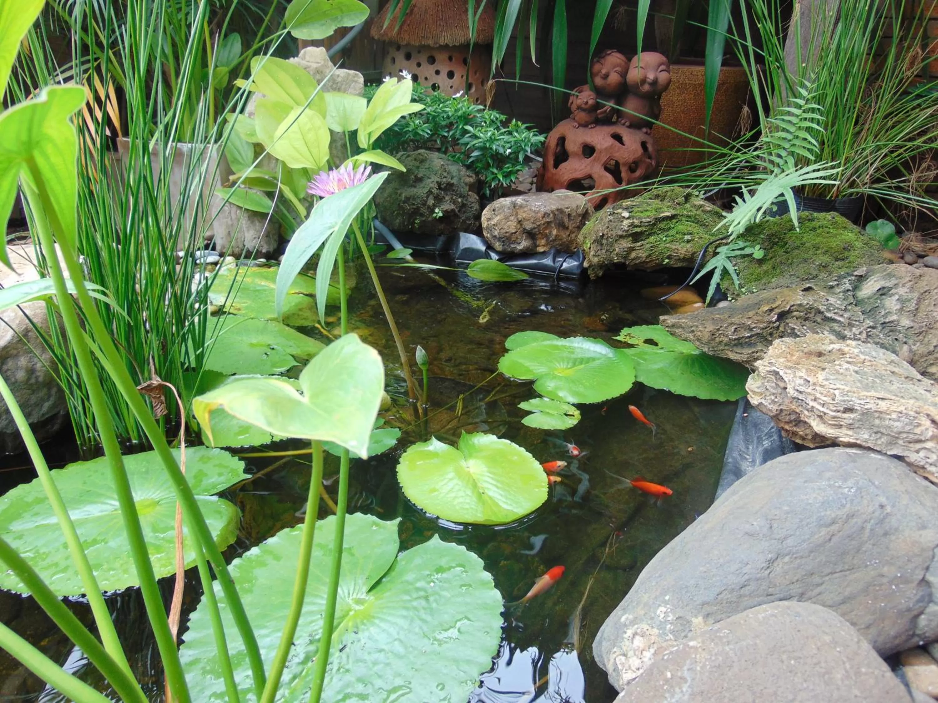 Natural landscape in Pha Thai House