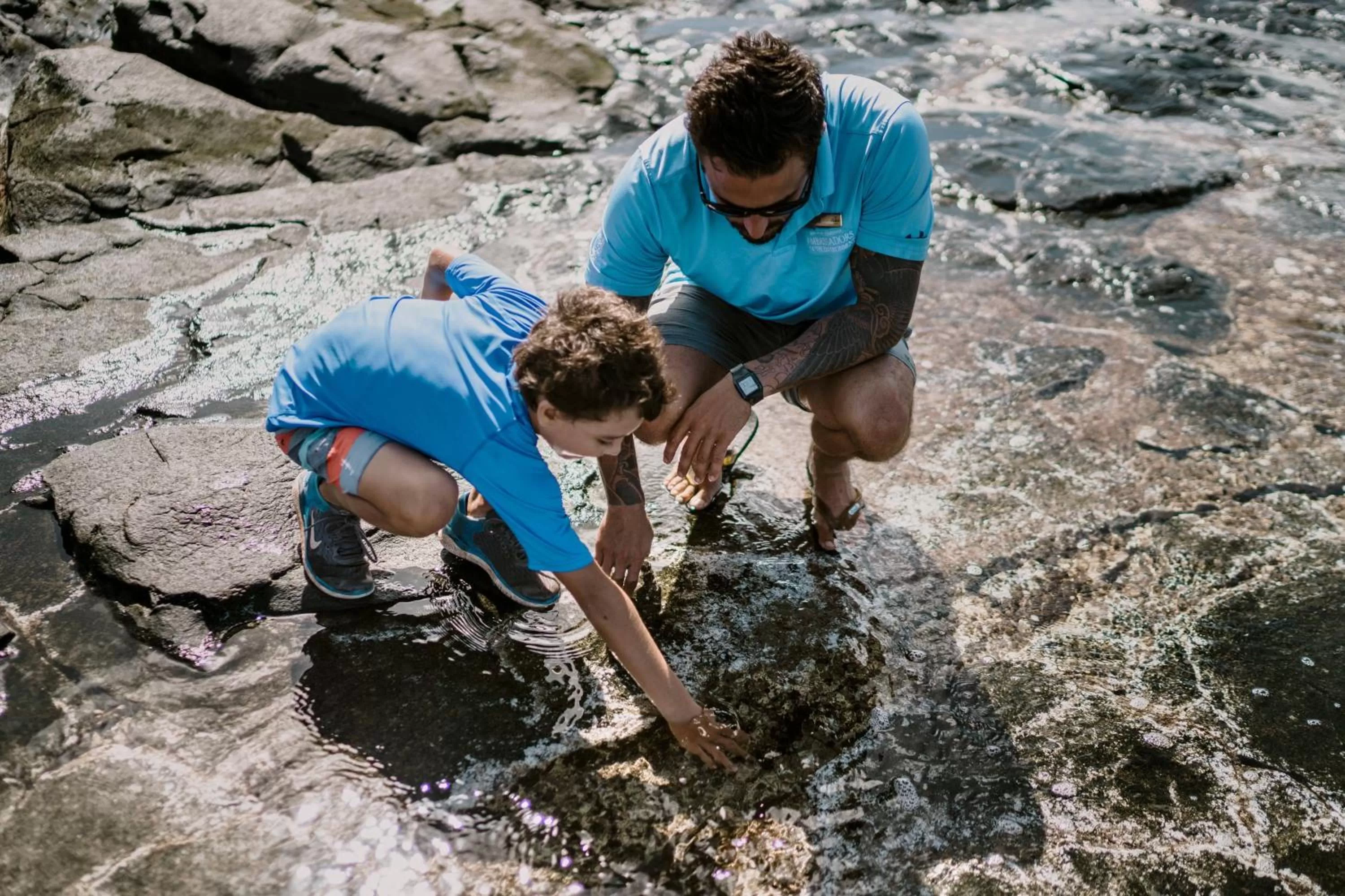 Swimming pool in The Ritz-Carlton Maui, Kapalua