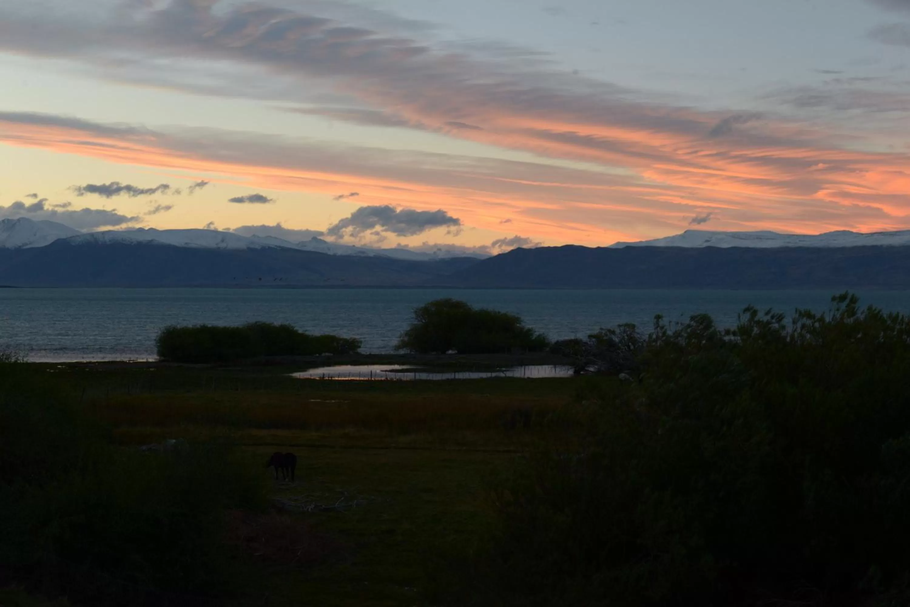 Hostería El Galpón Del Glaciar
