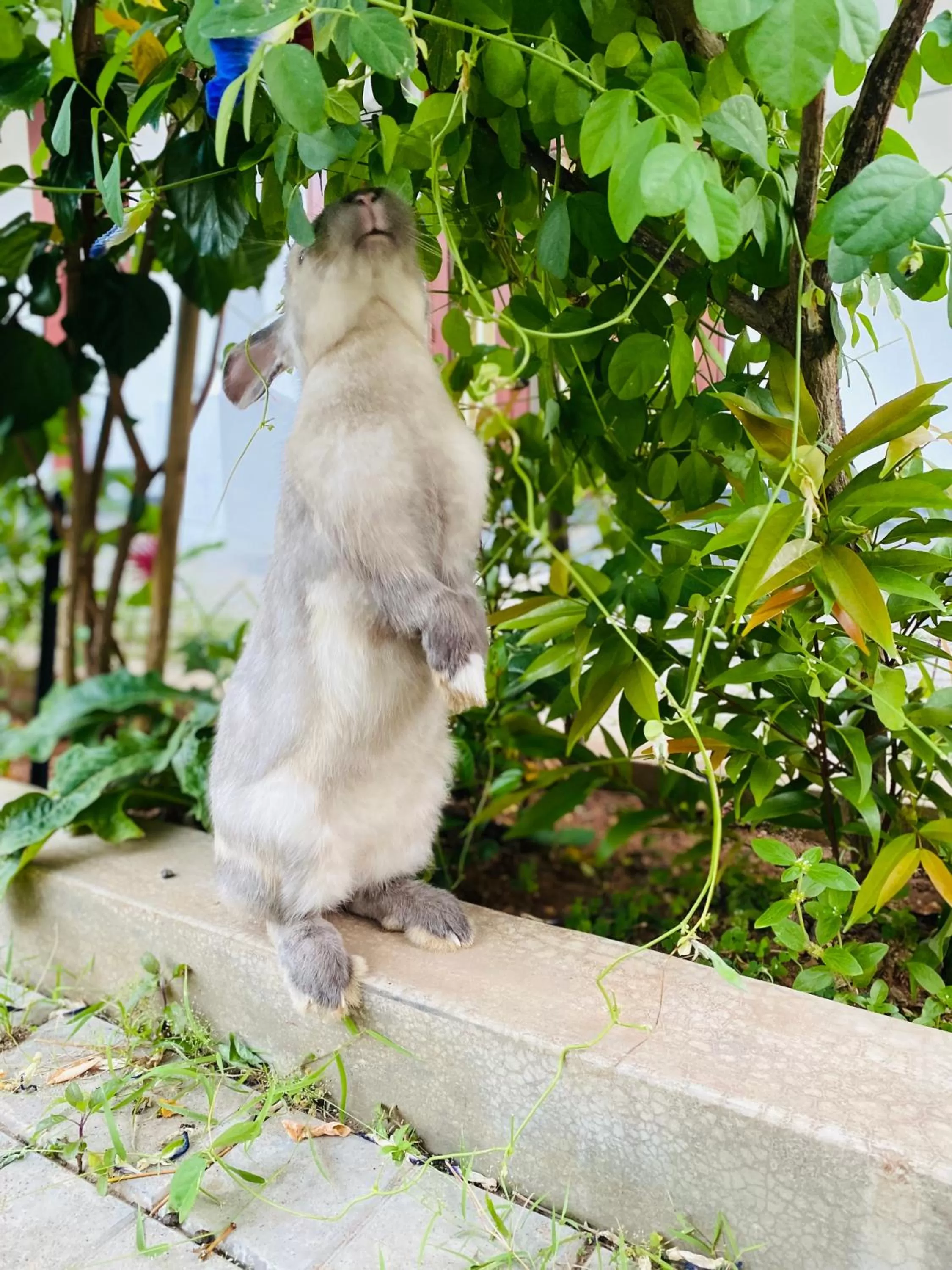 The Kingslayer Resort