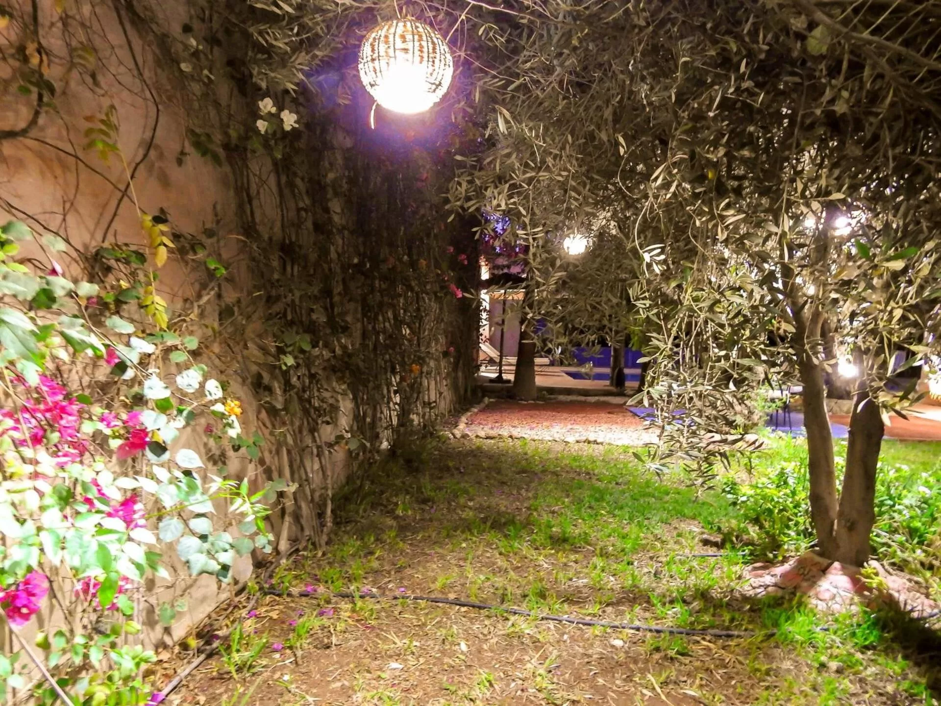 Night in Le Bleu House