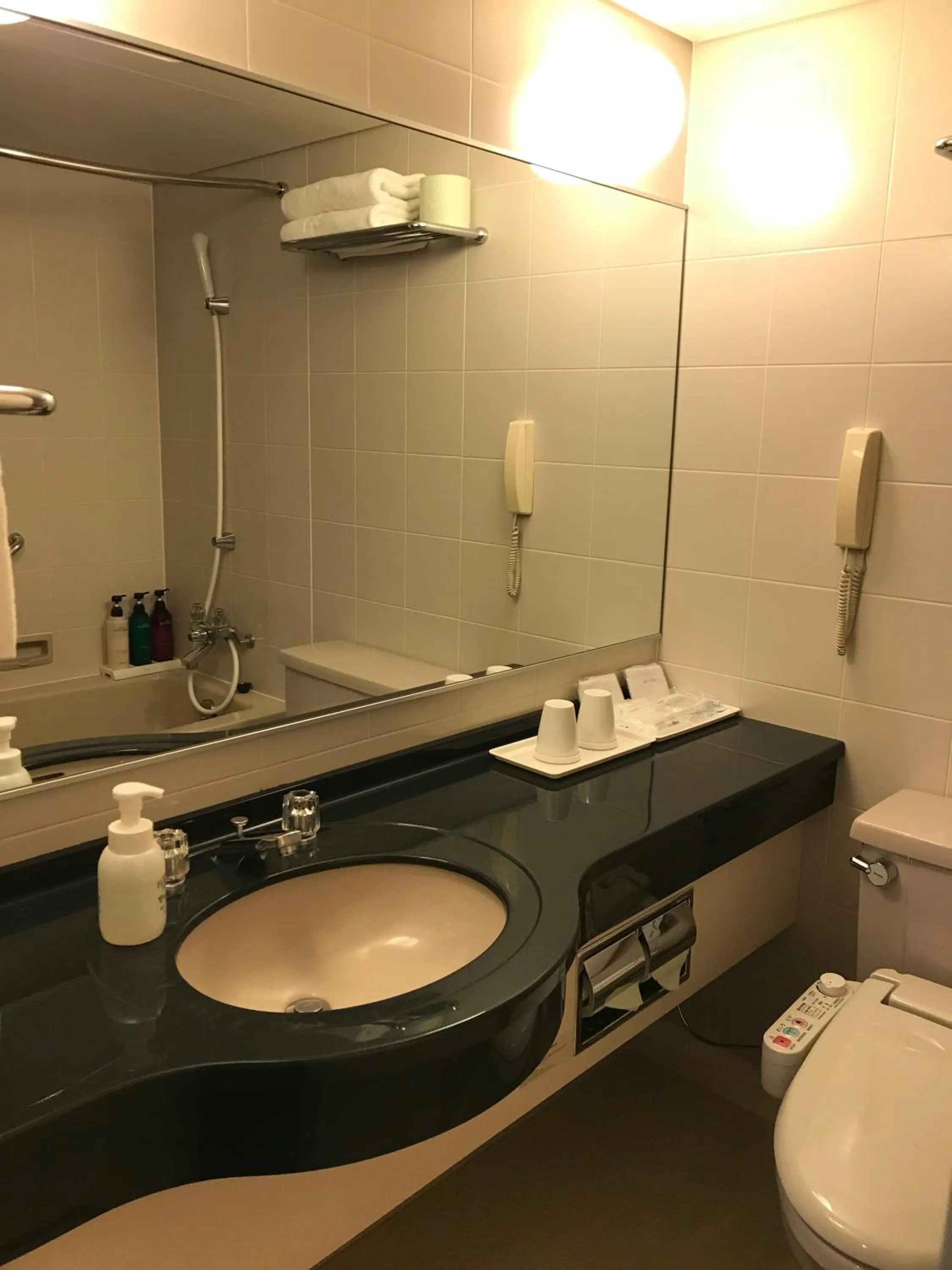 Toilet in Chisun Hotel Kamata