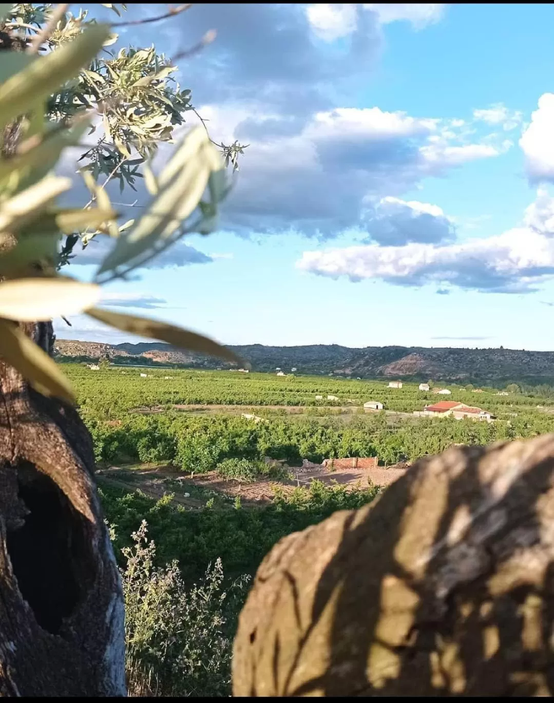 Natural landscape in Cabezo Buñuel Hostal