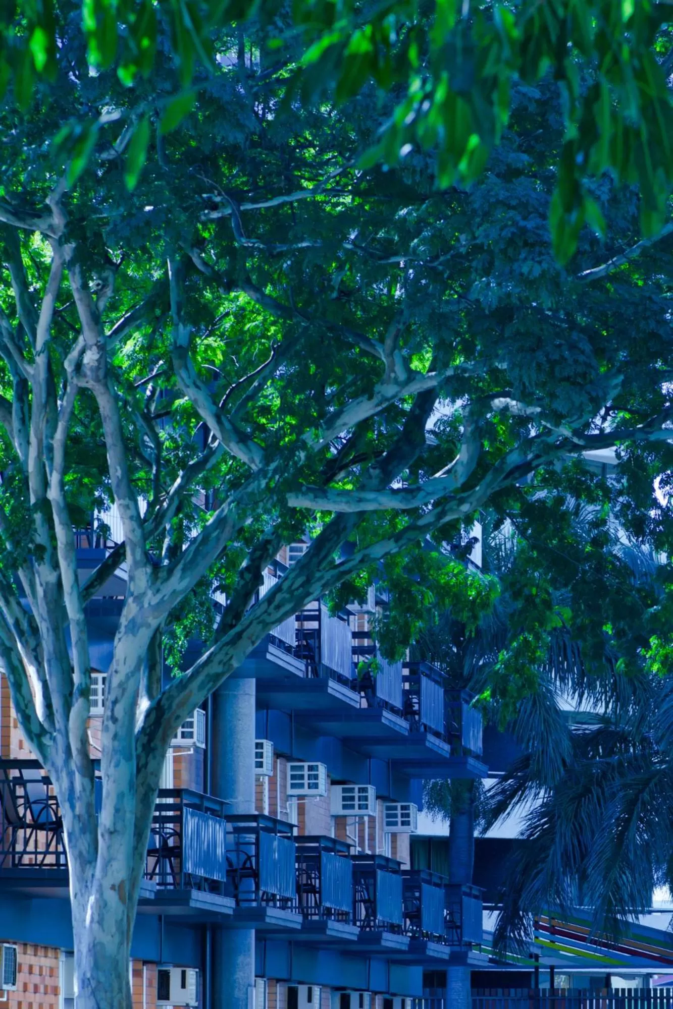 Balcony/Terrace in Soho Brisbane