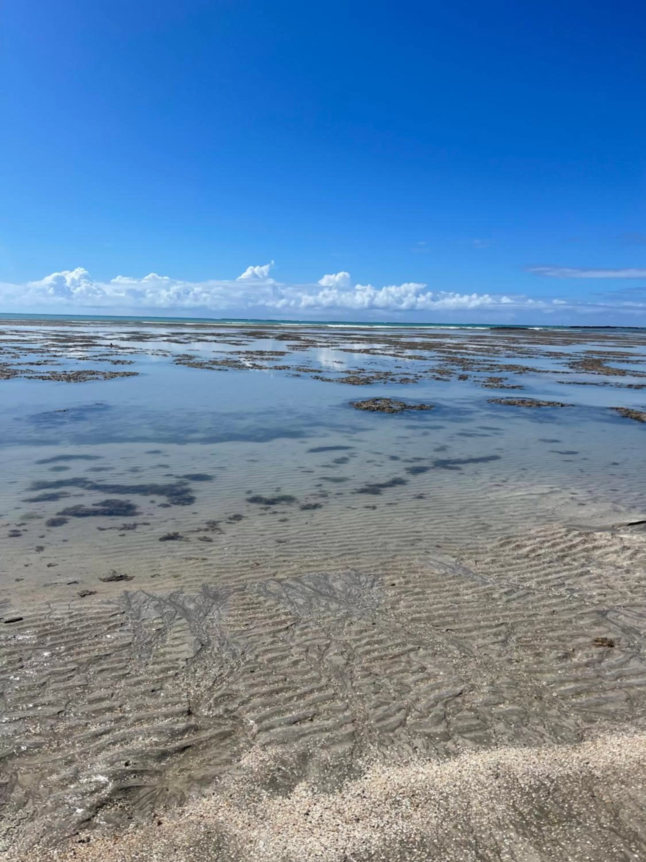 Day in Chalé Palhano Beach