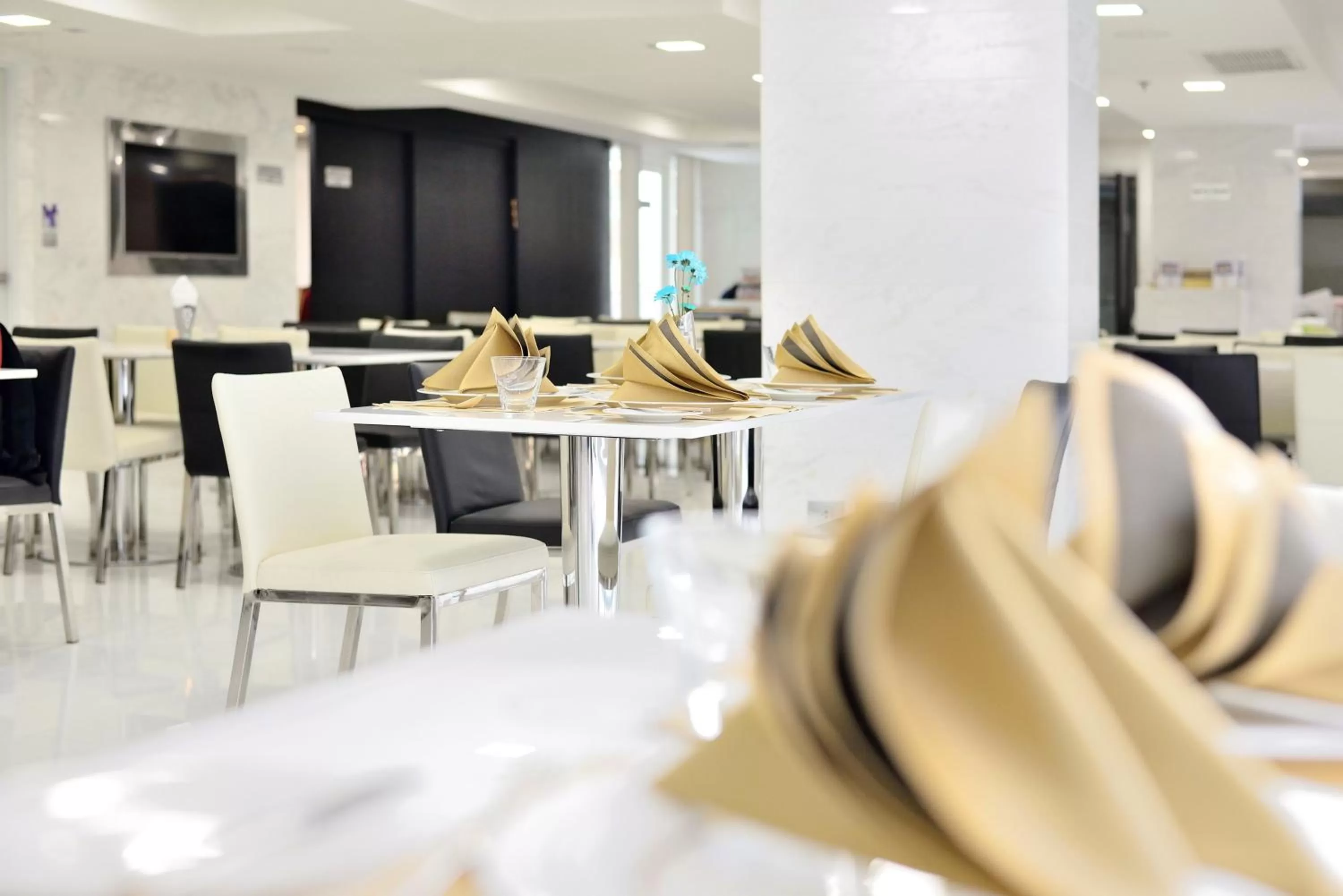 Restaurant/places to eat in Shilat Avenue Pattaya