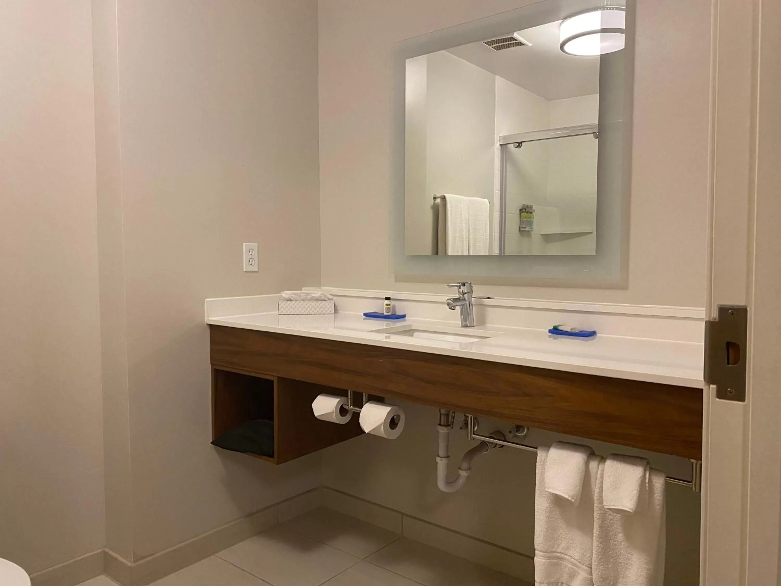 Bathroom in Holiday Inn Express Hotel & Suites Logansport by IHG