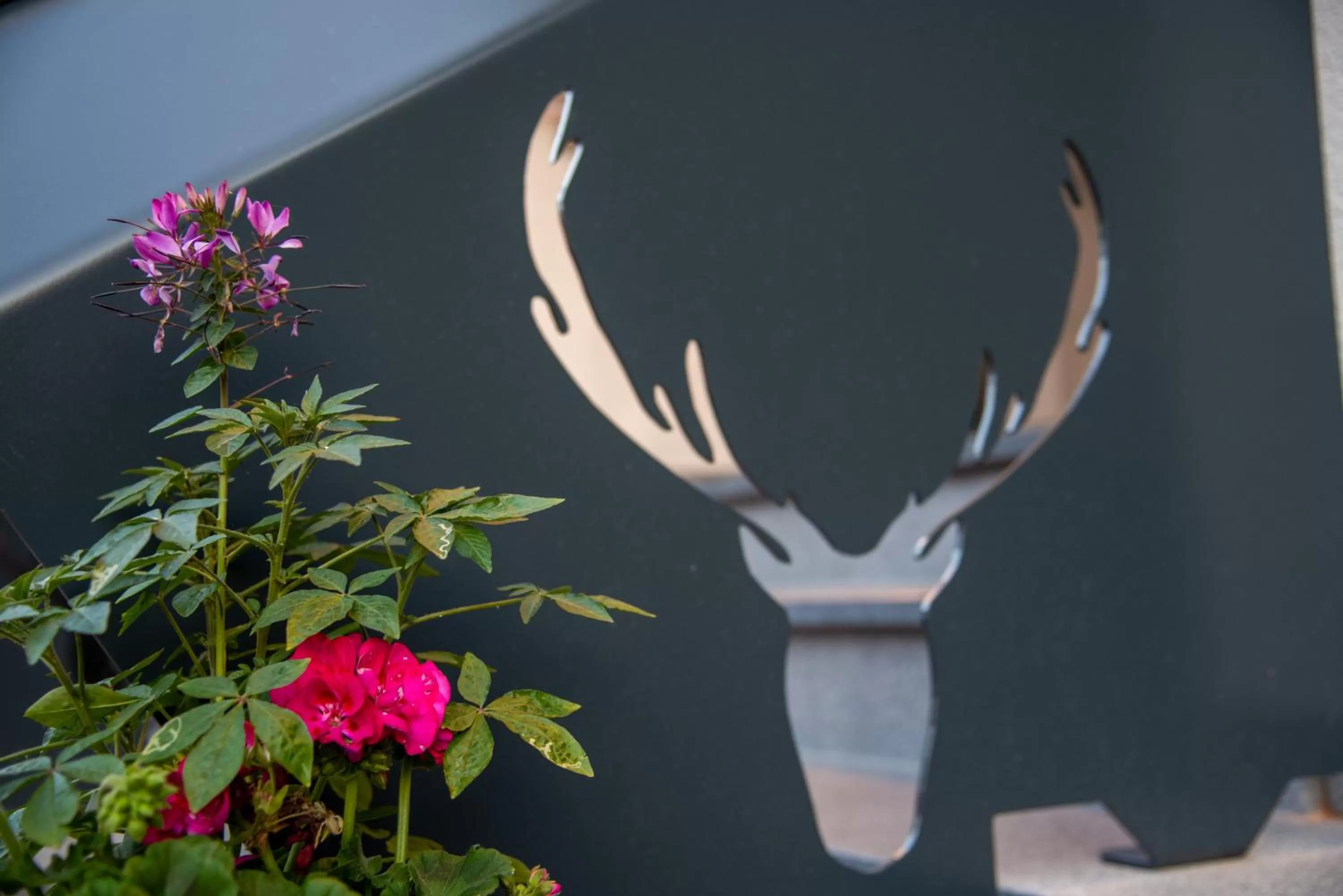 Property logo or sign in SCHÖNIS-Landhotel