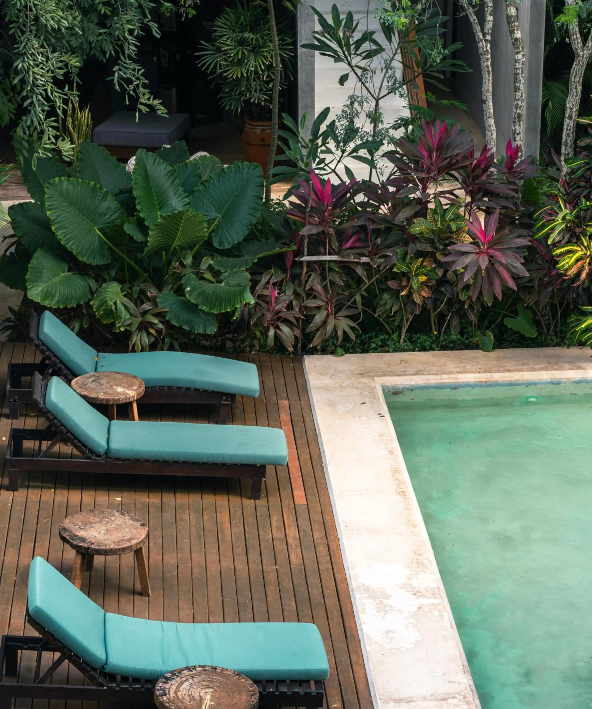 Swimming pool in Panacea Condo Tulum