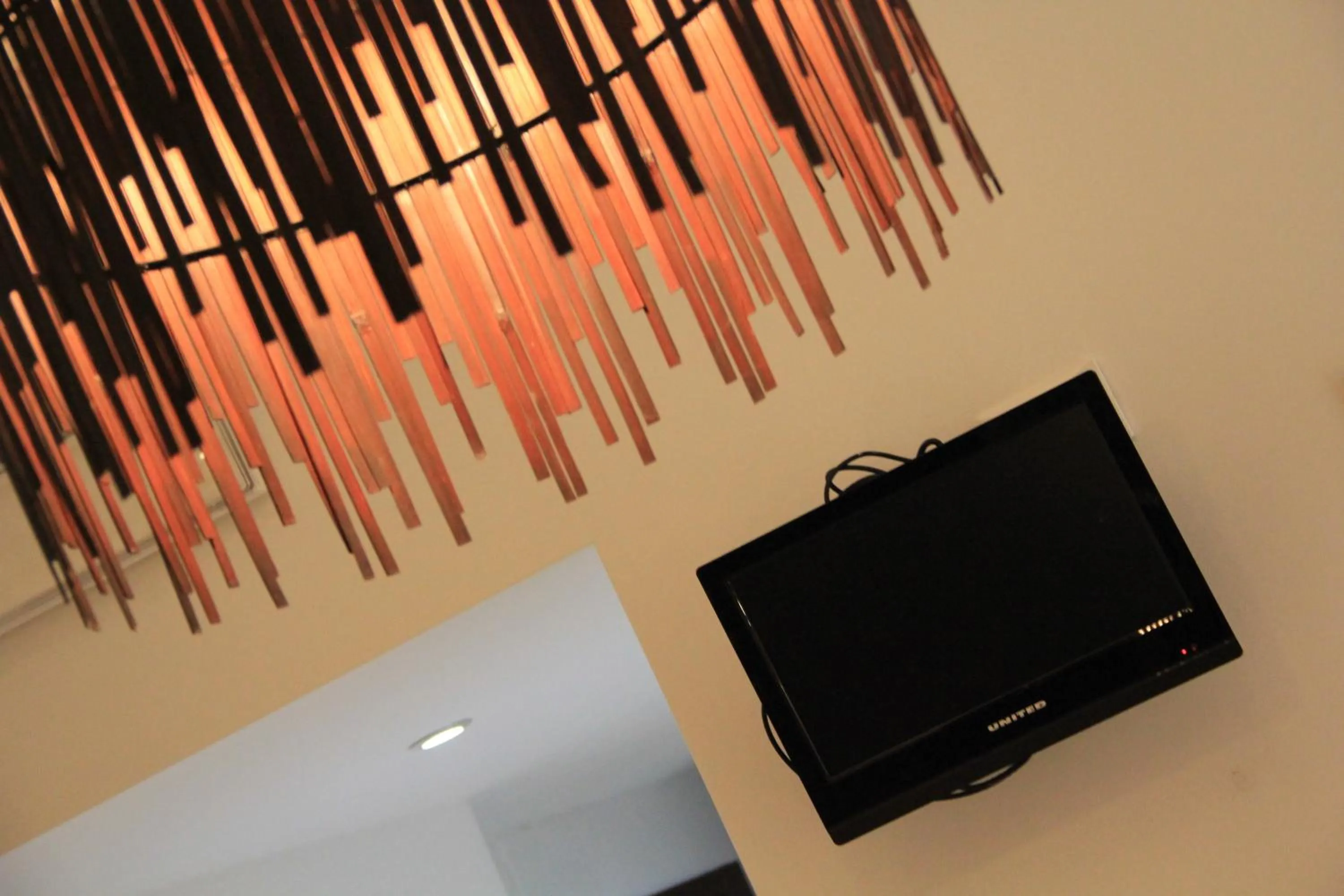 TV and multimedia in Hotel Bologna