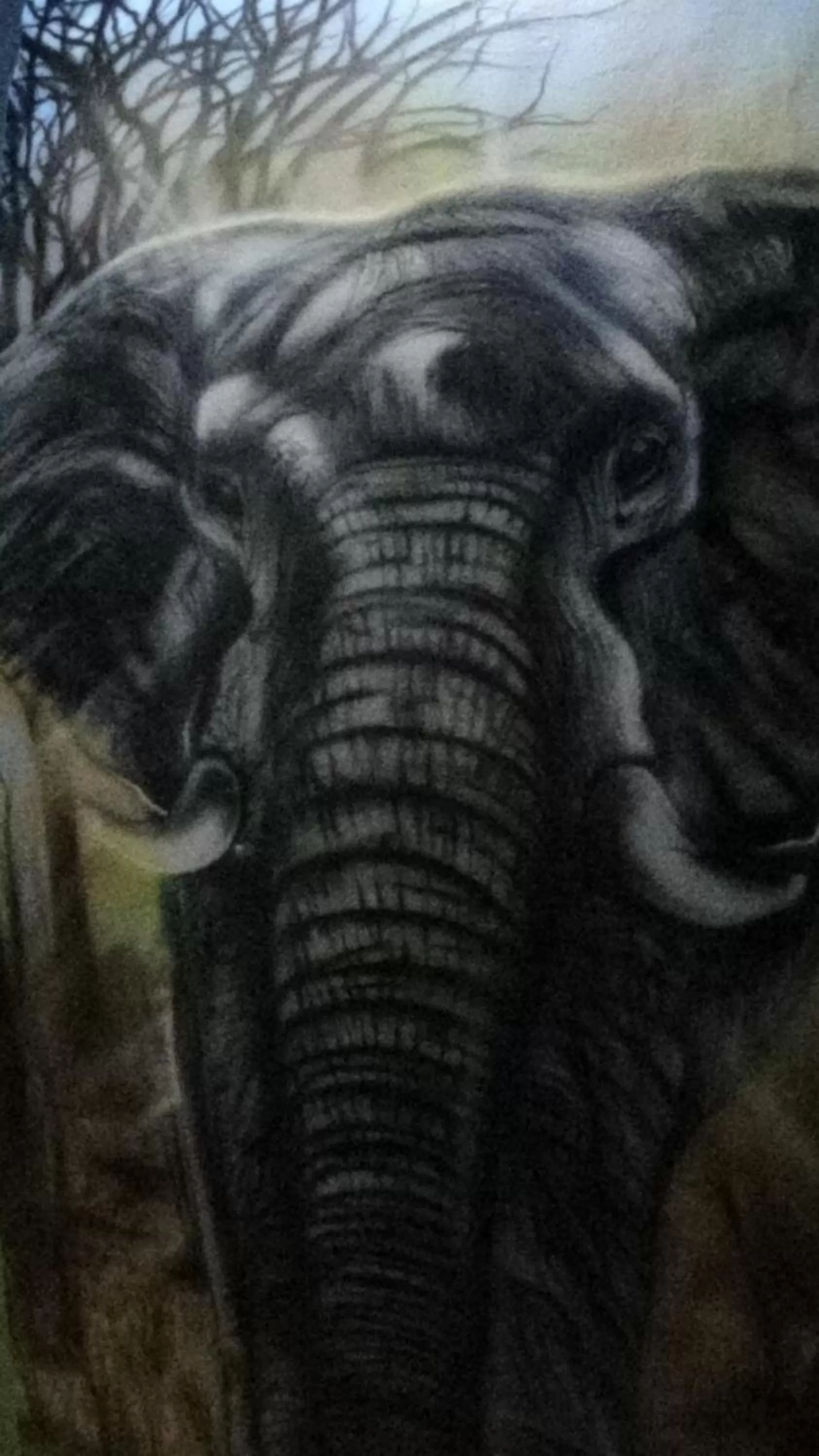 Property building in Pousada Encanto e Magia