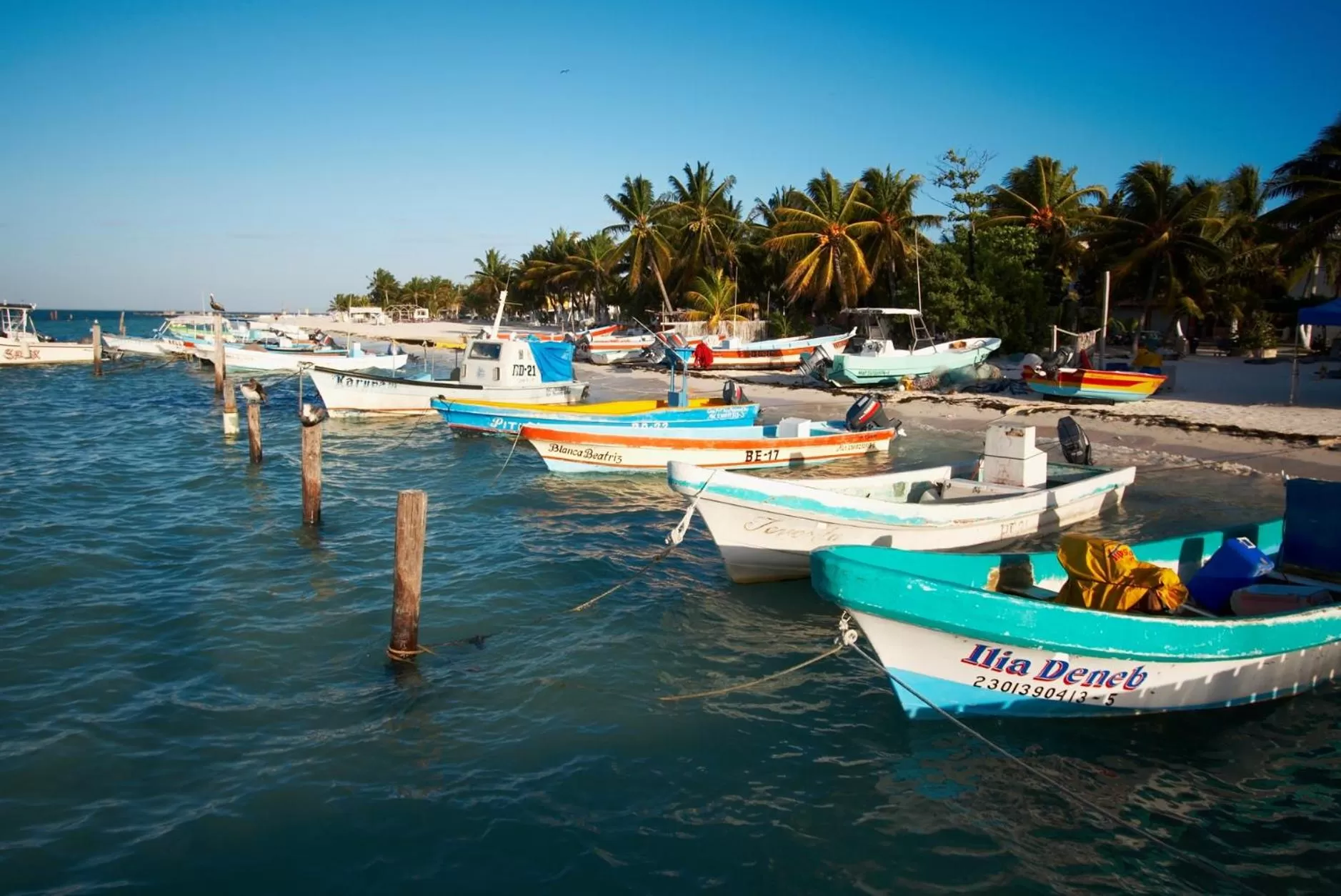Beach in Hotel Belmar