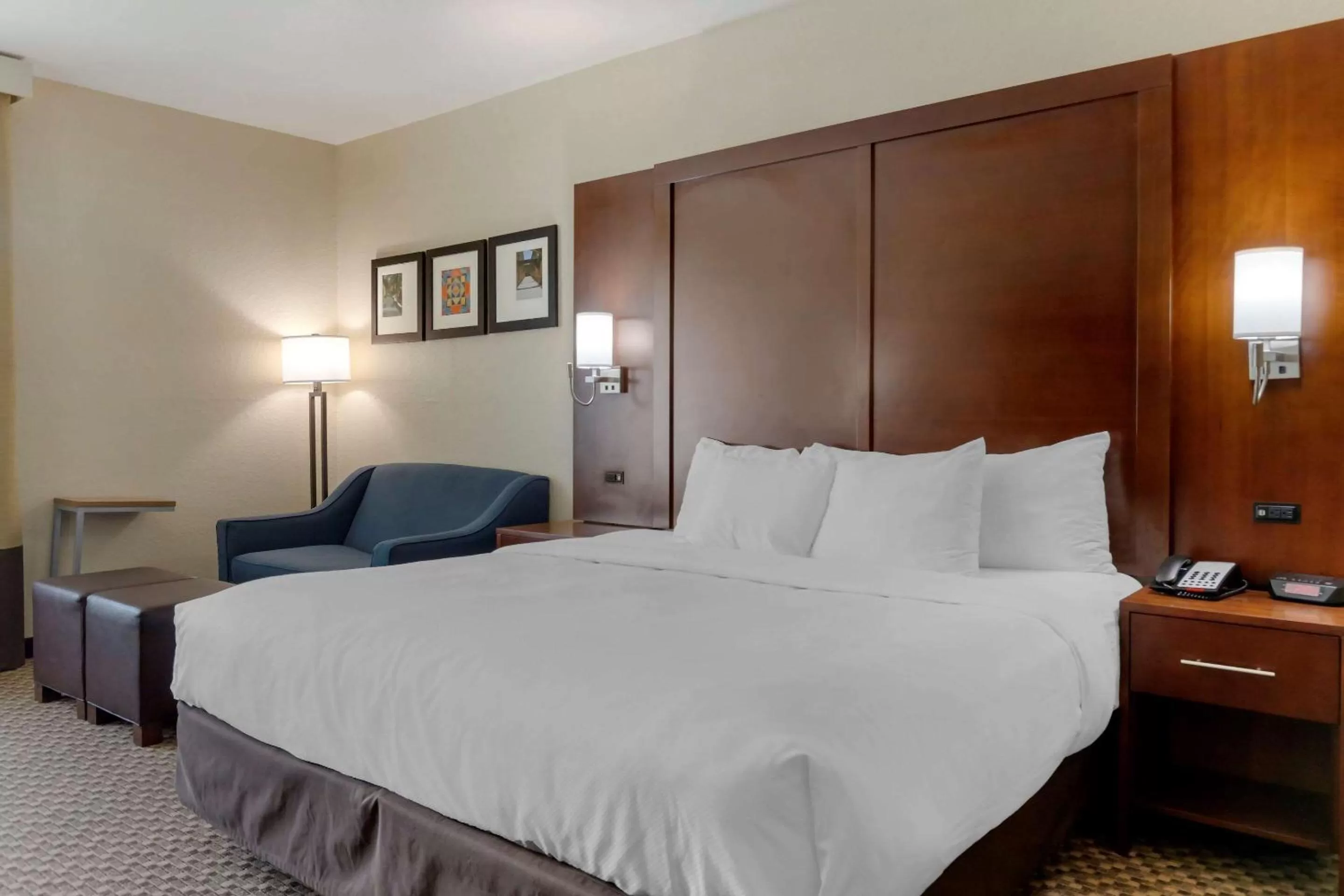 Photo of the whole room, Bed in Comfort Inn & Suites Near Six Flags & Medical Center