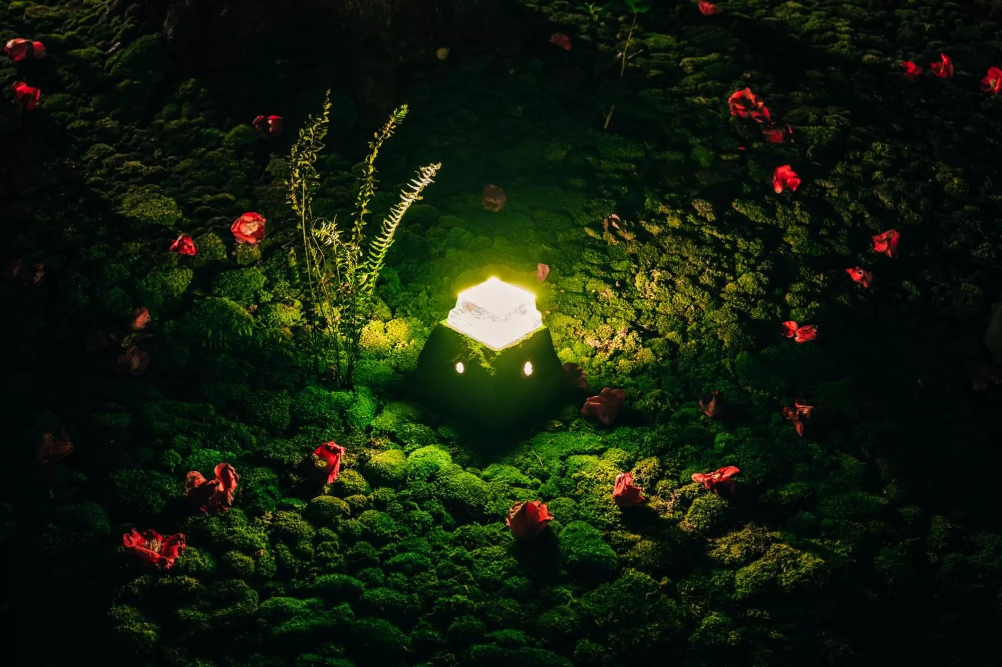 Garden in Hotel Chinzanso Tokyo