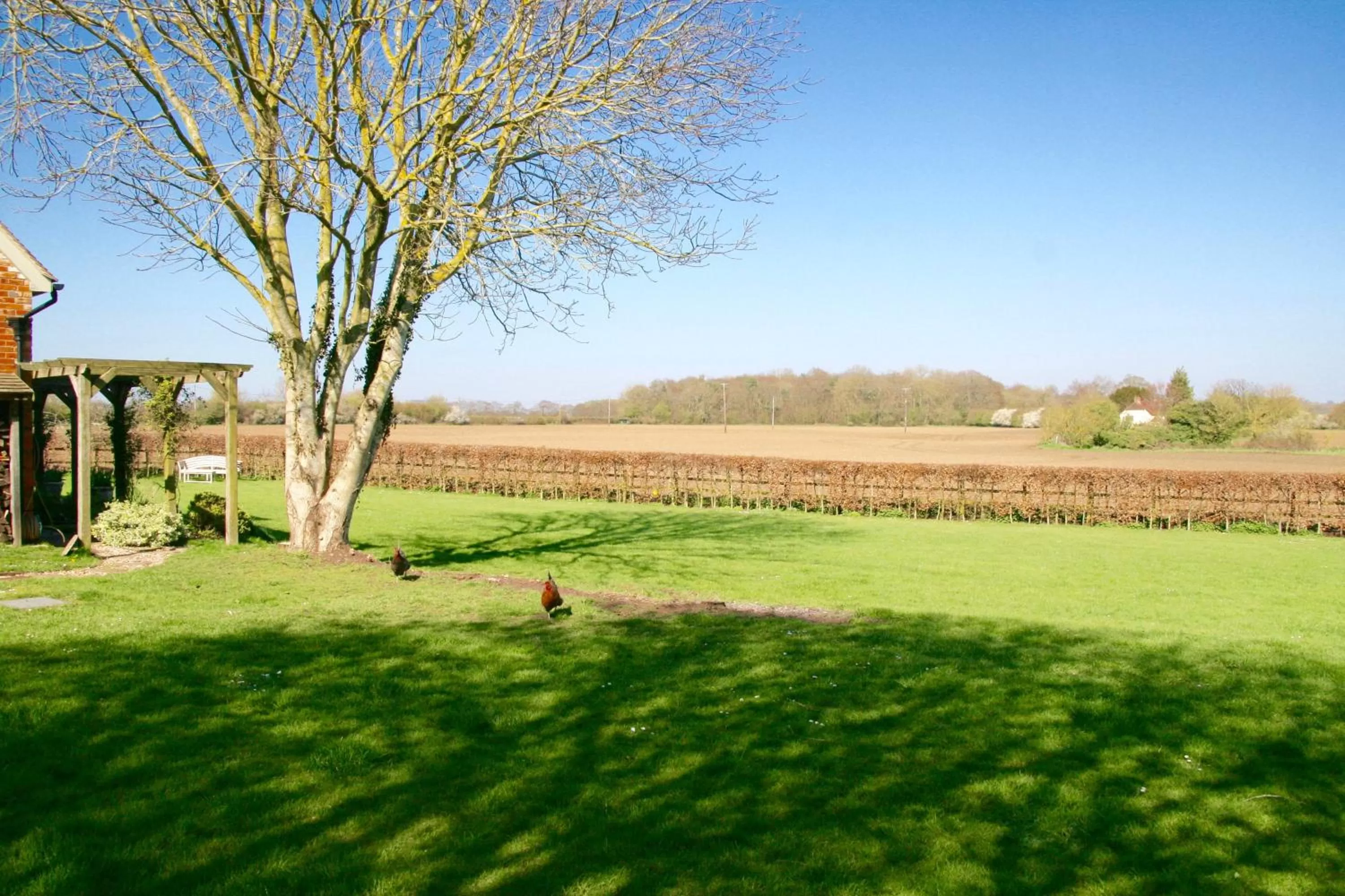 Natural landscape in Thatched Cottage