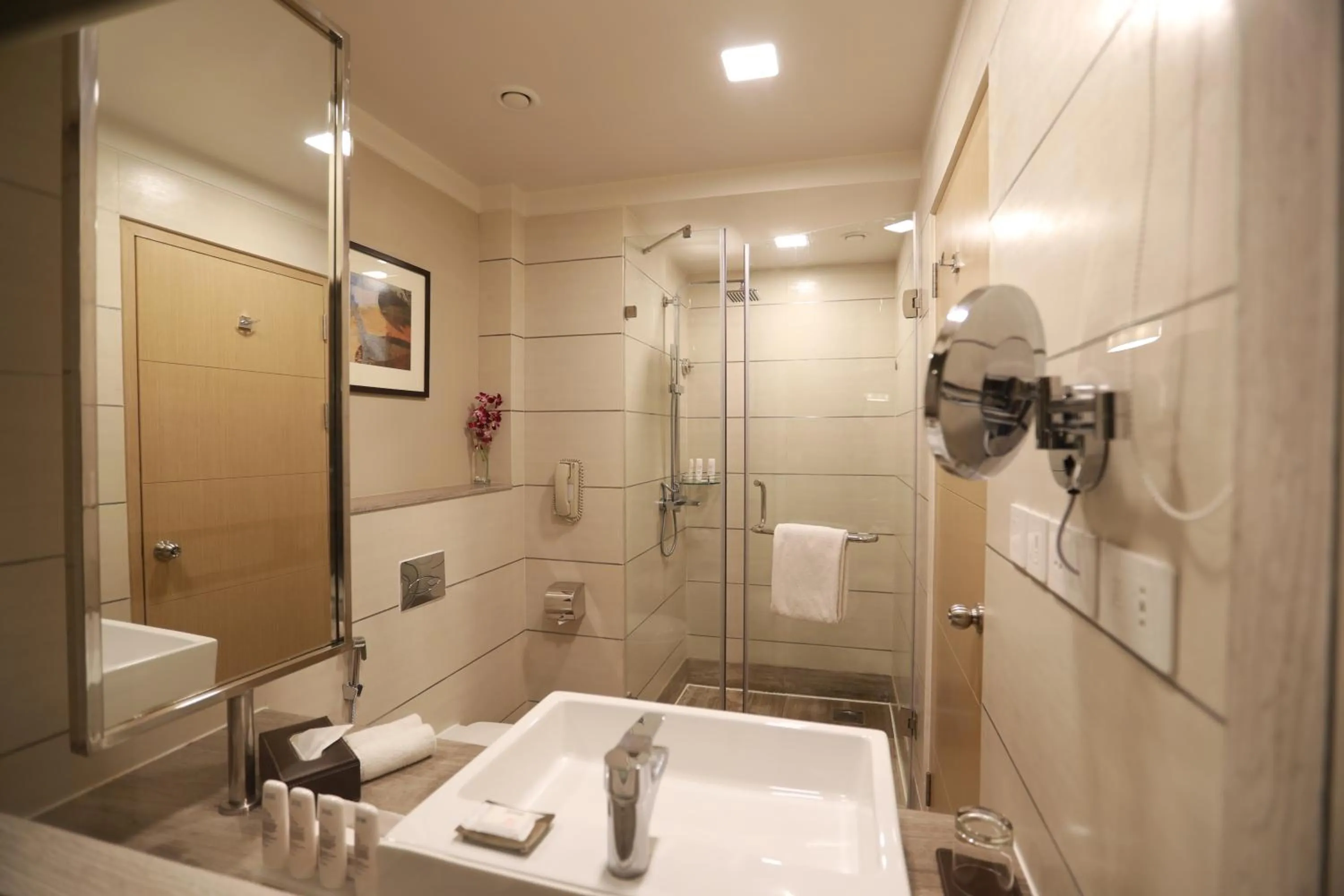 Shower in Radisson Blu Pune Hinjawadi