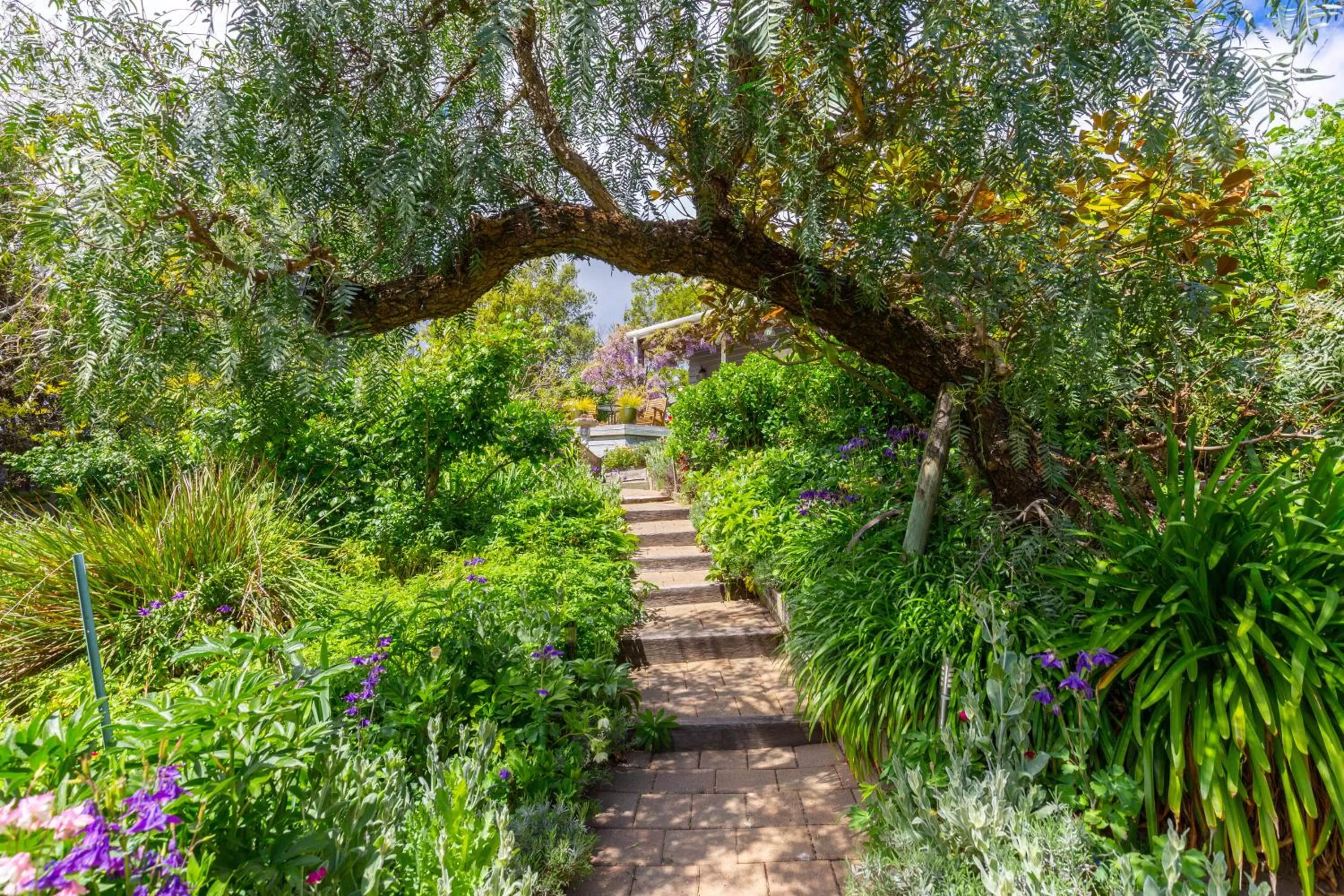 Olde Mill House B&B & Bike2Wine cycle hire