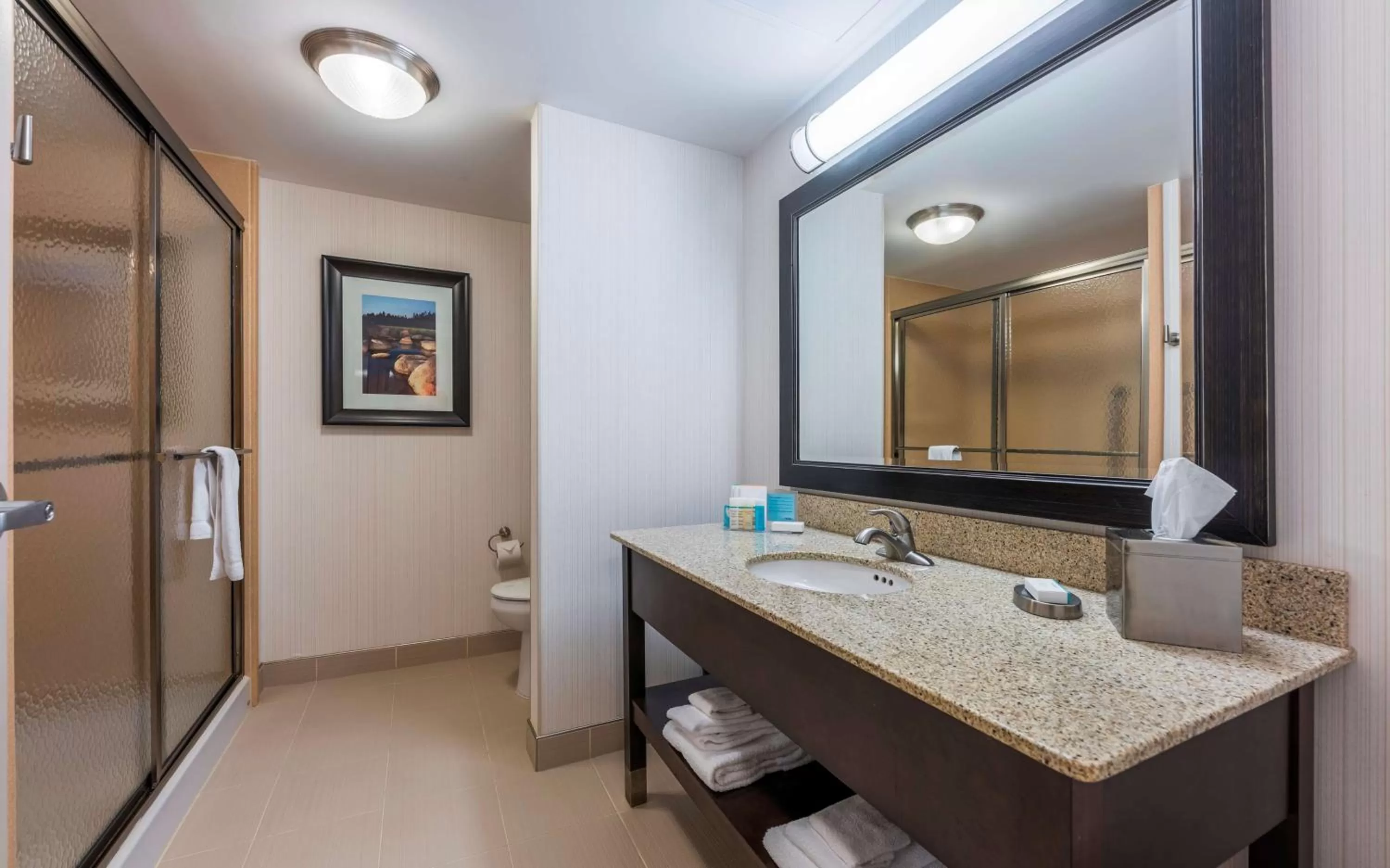 Bathroom in Hampton Inn Sydney