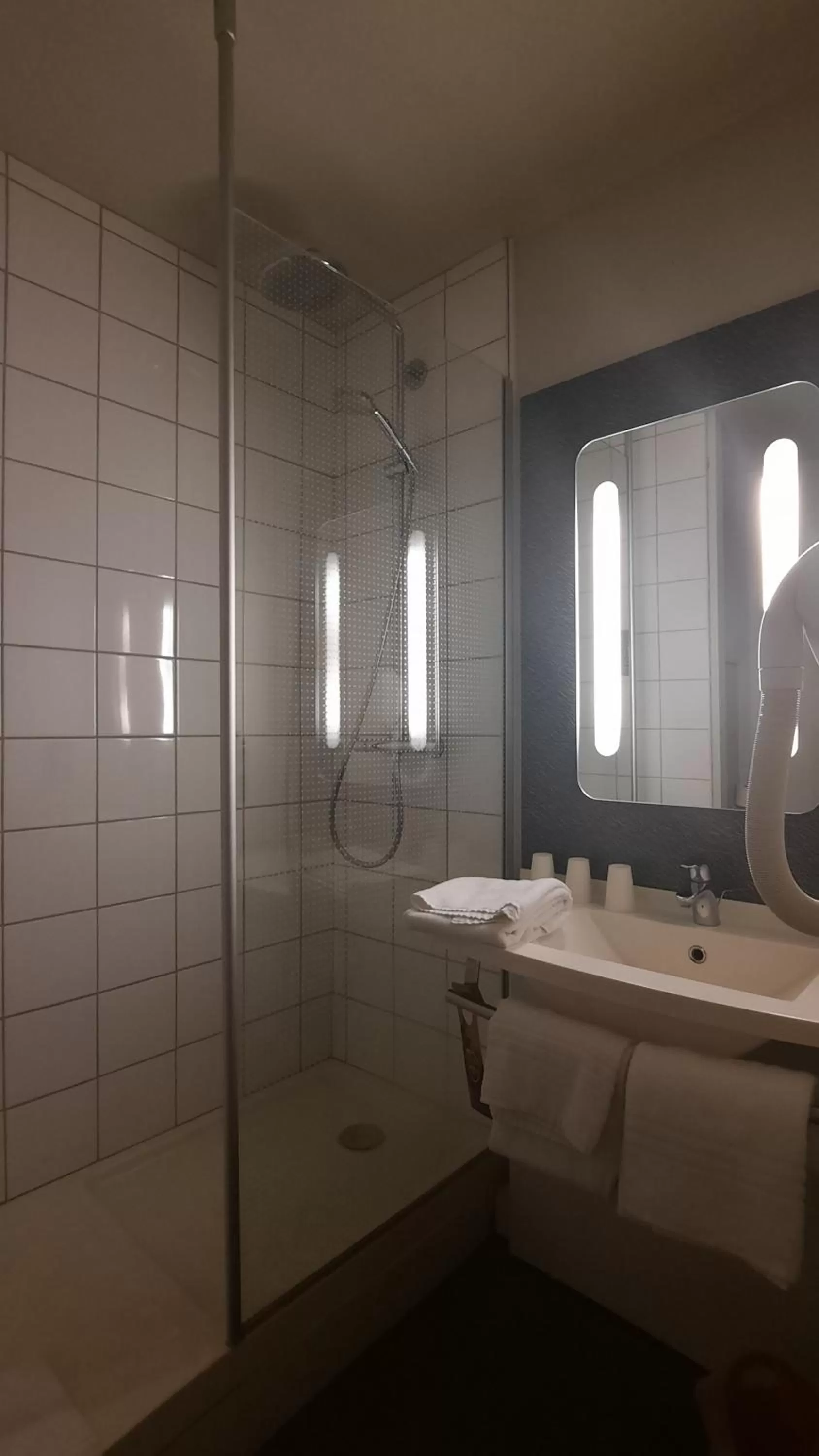 Shower in Ibis Roanne Le Coteau Hotel Restaurant