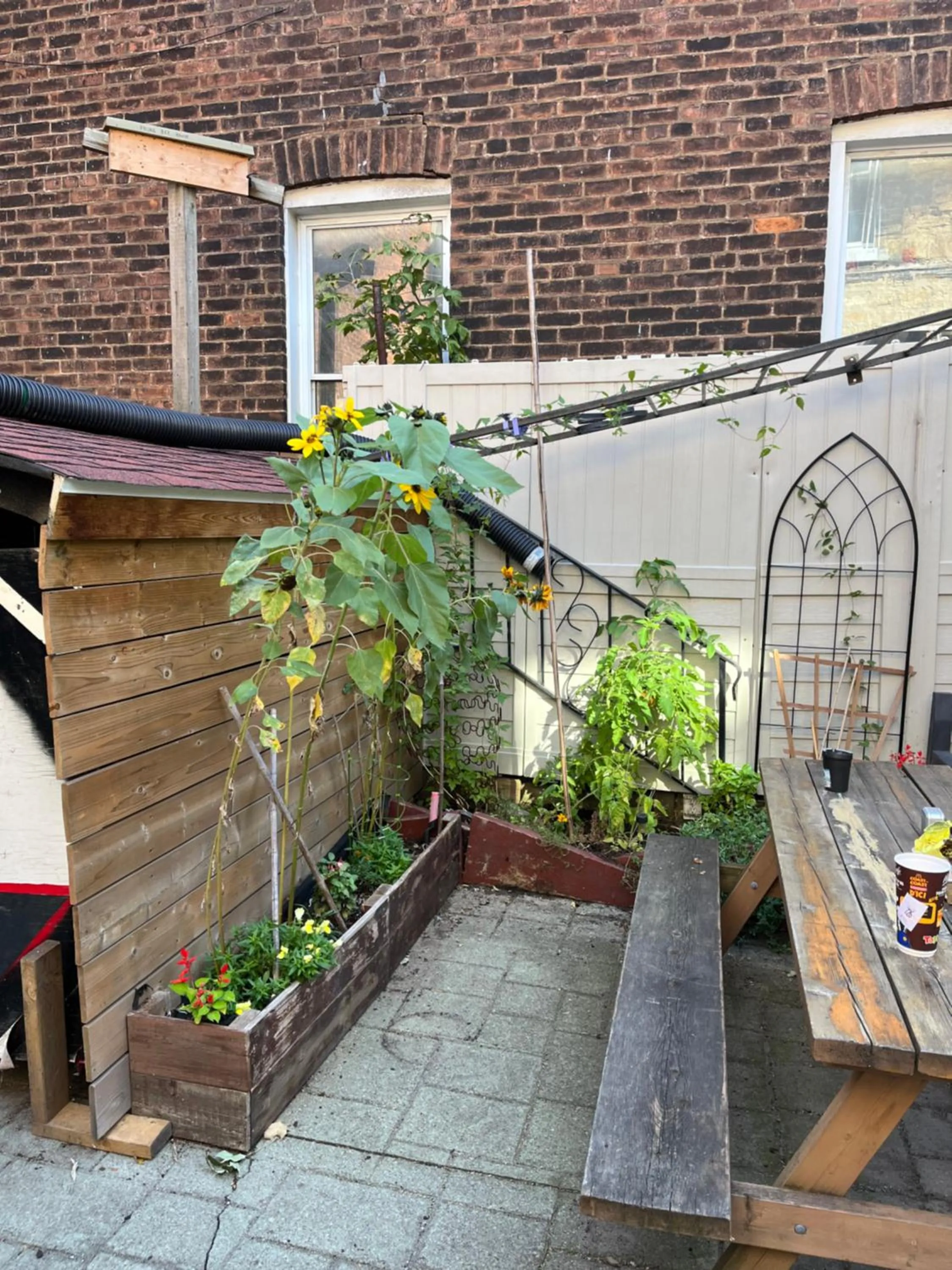 Garden in Pring Guesthouse